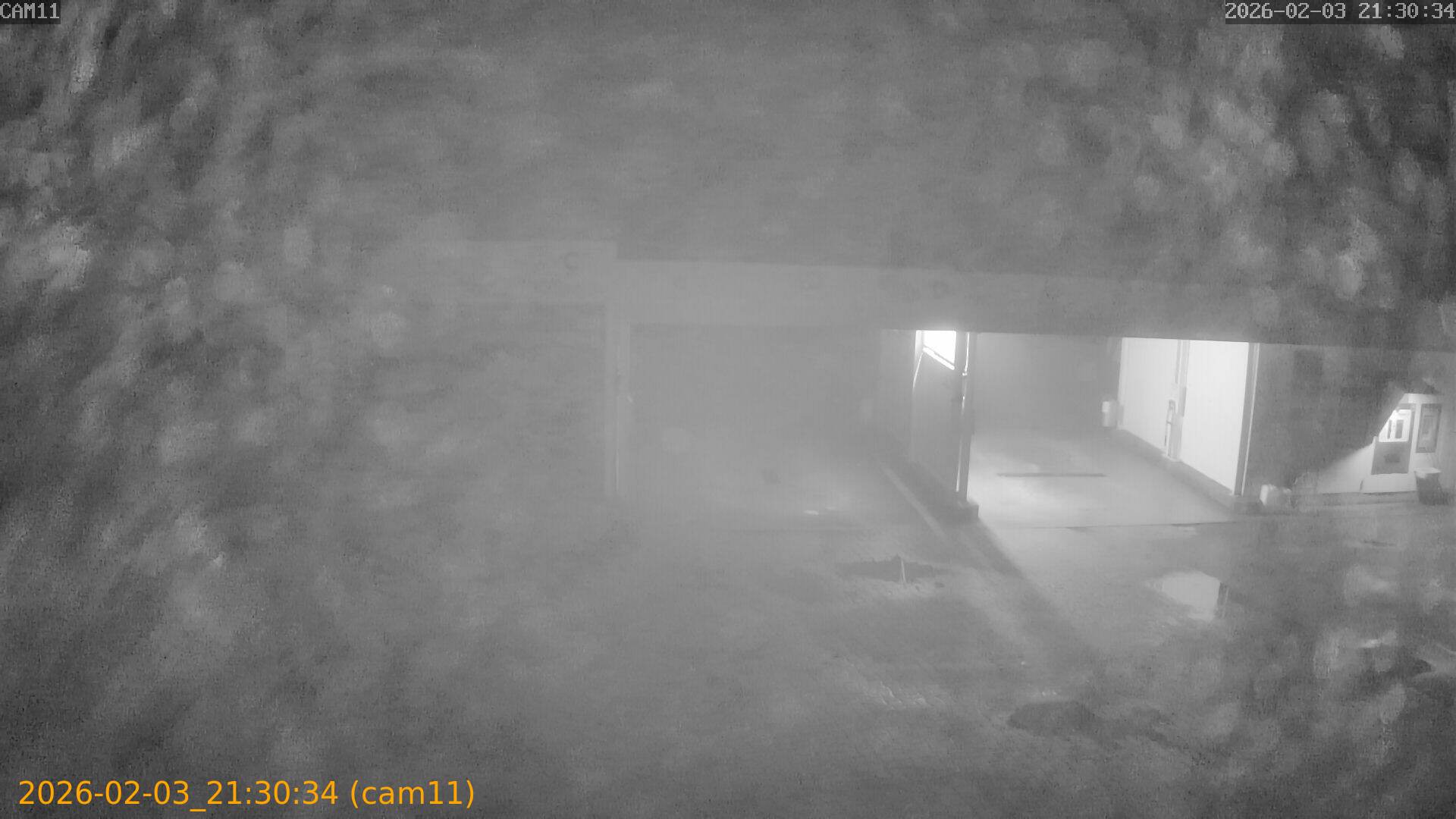 thumbnail_20260203213034