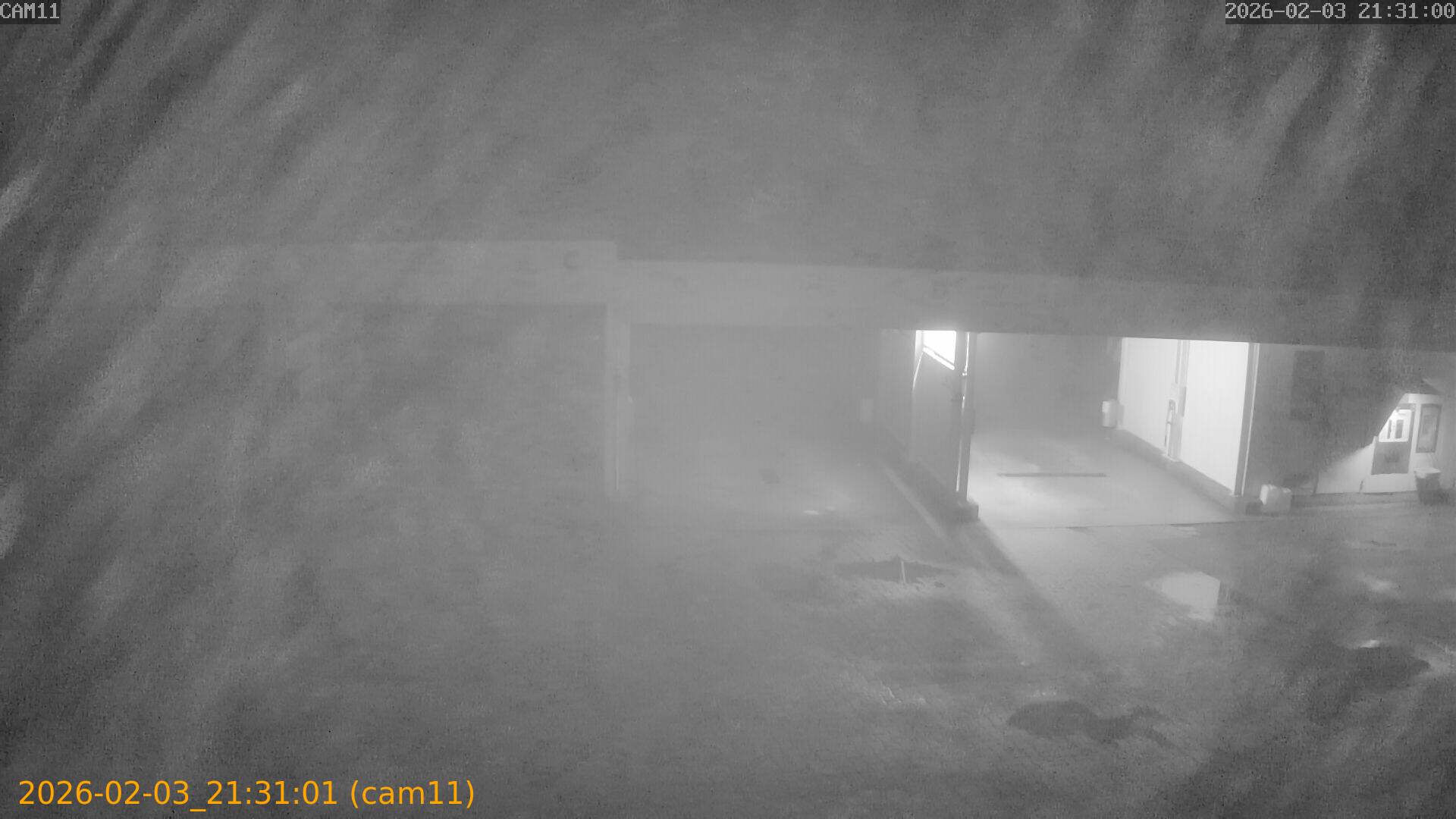 thumbnail_20260203213101