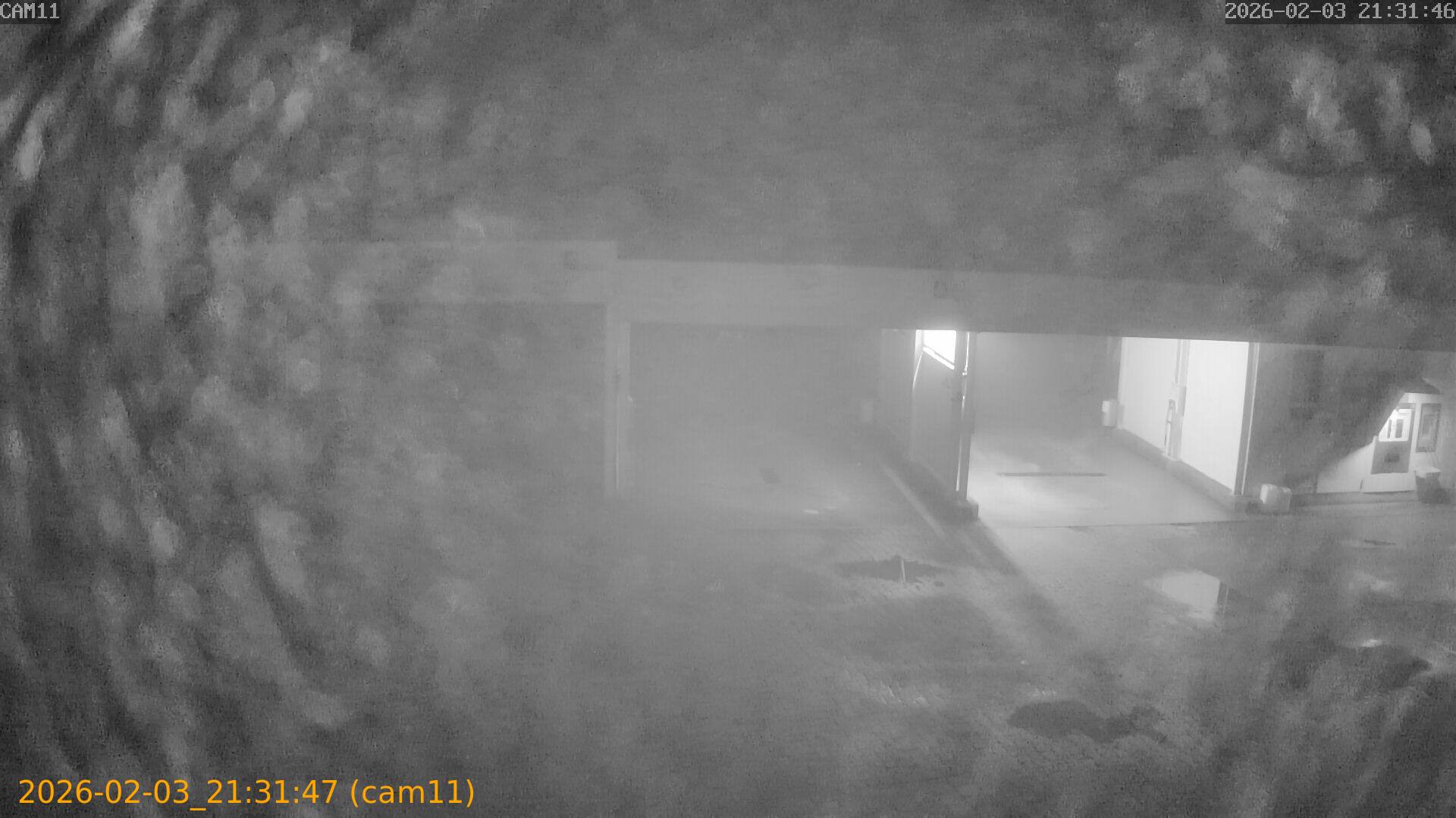 thumbnail_20260203213147