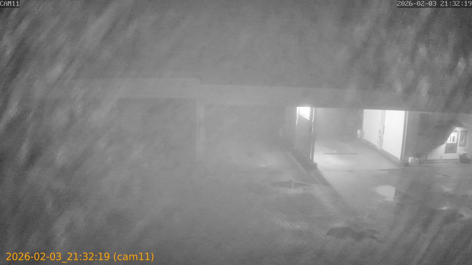 thumbnail_20260203213219