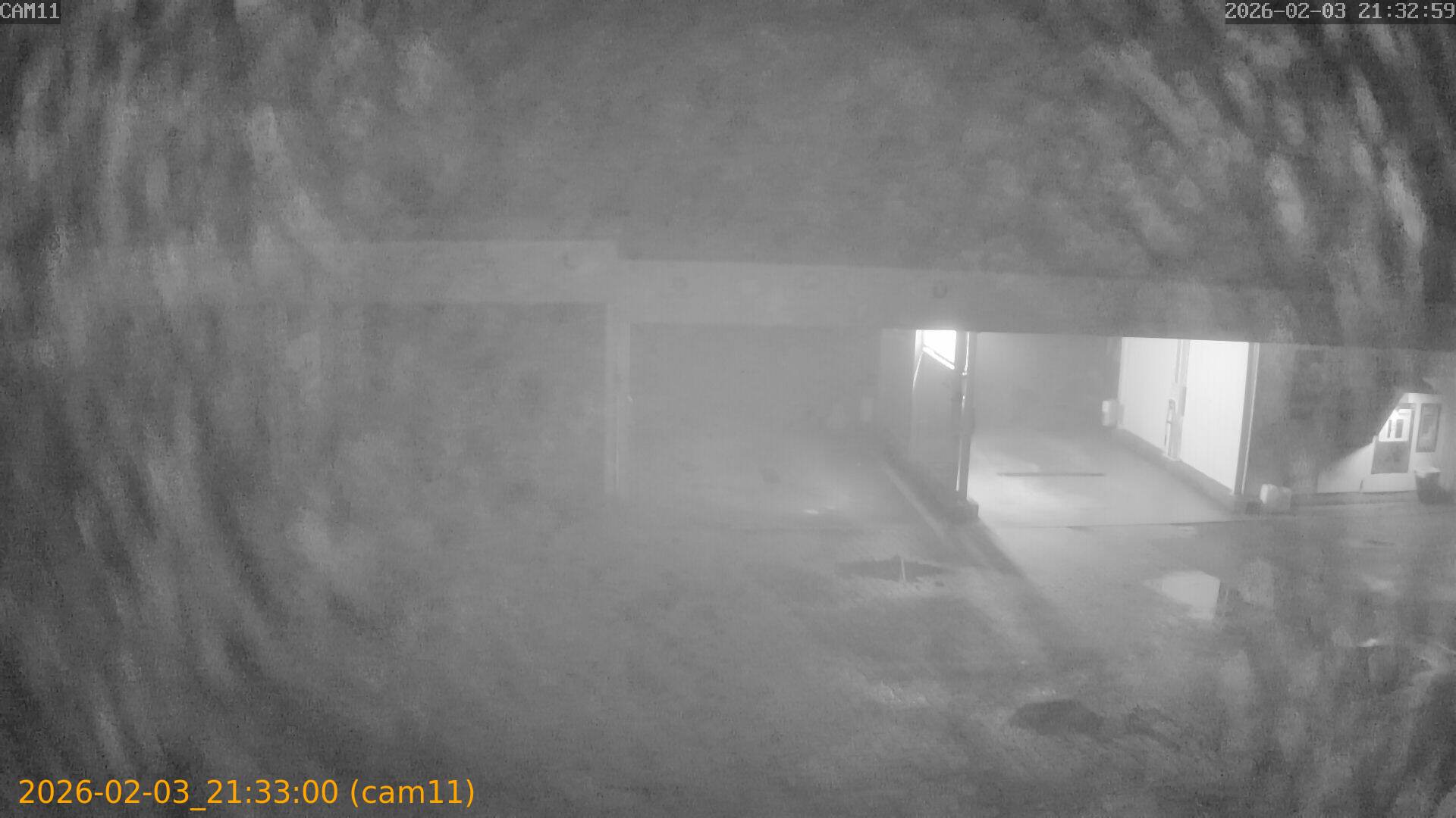 thumbnail_20260203213300