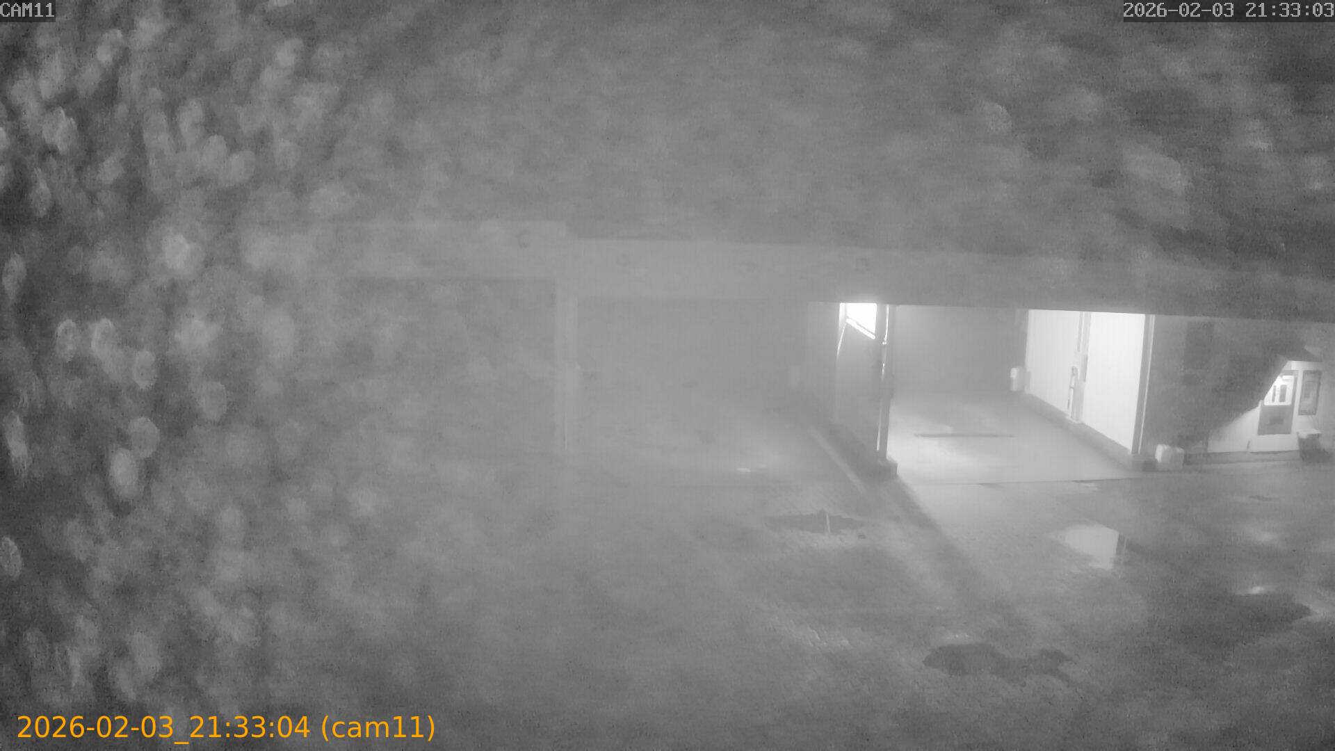 thumbnail_20260203213304