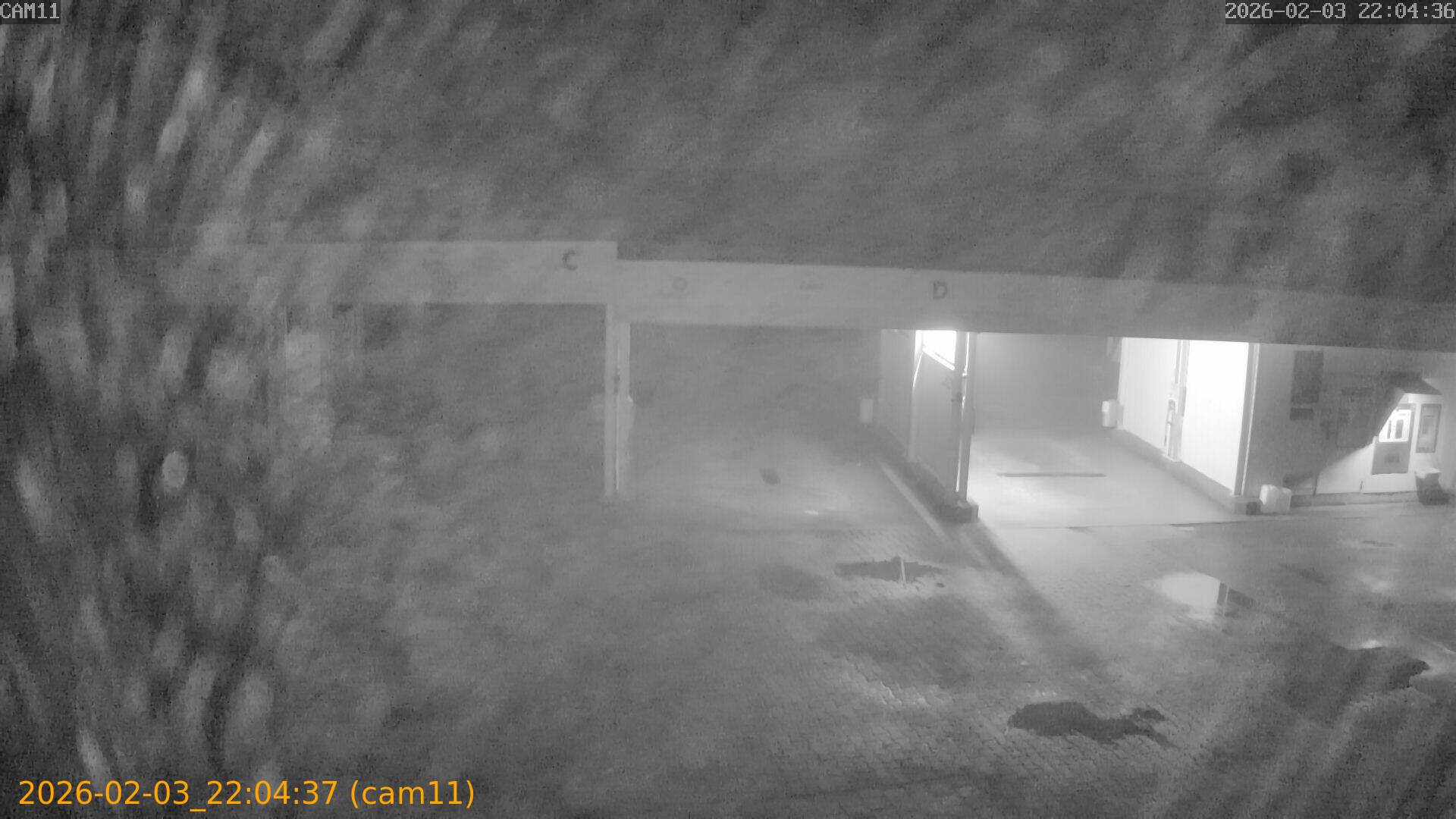 thumbnail_20260203220437