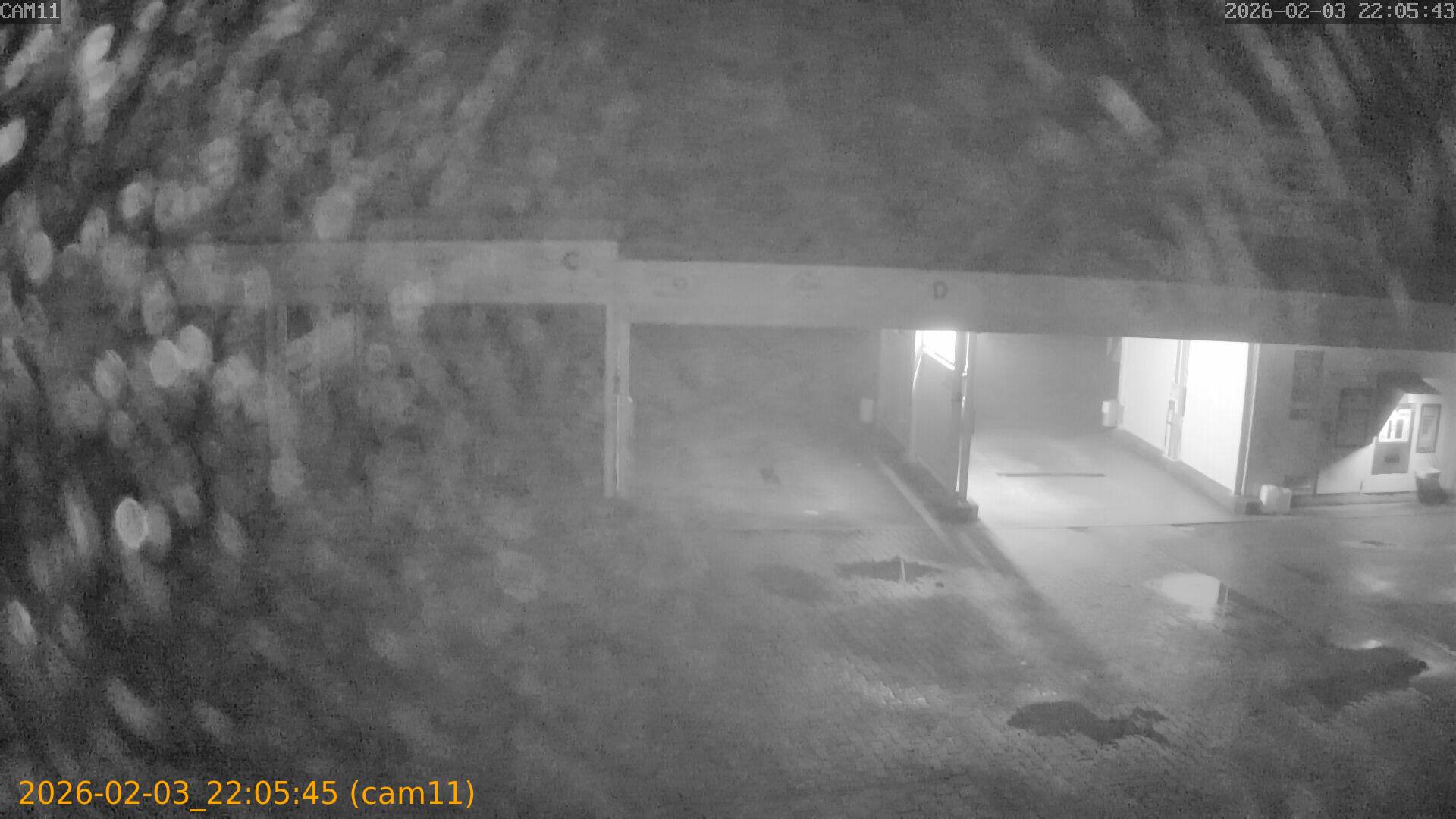 thumbnail_20260203220545