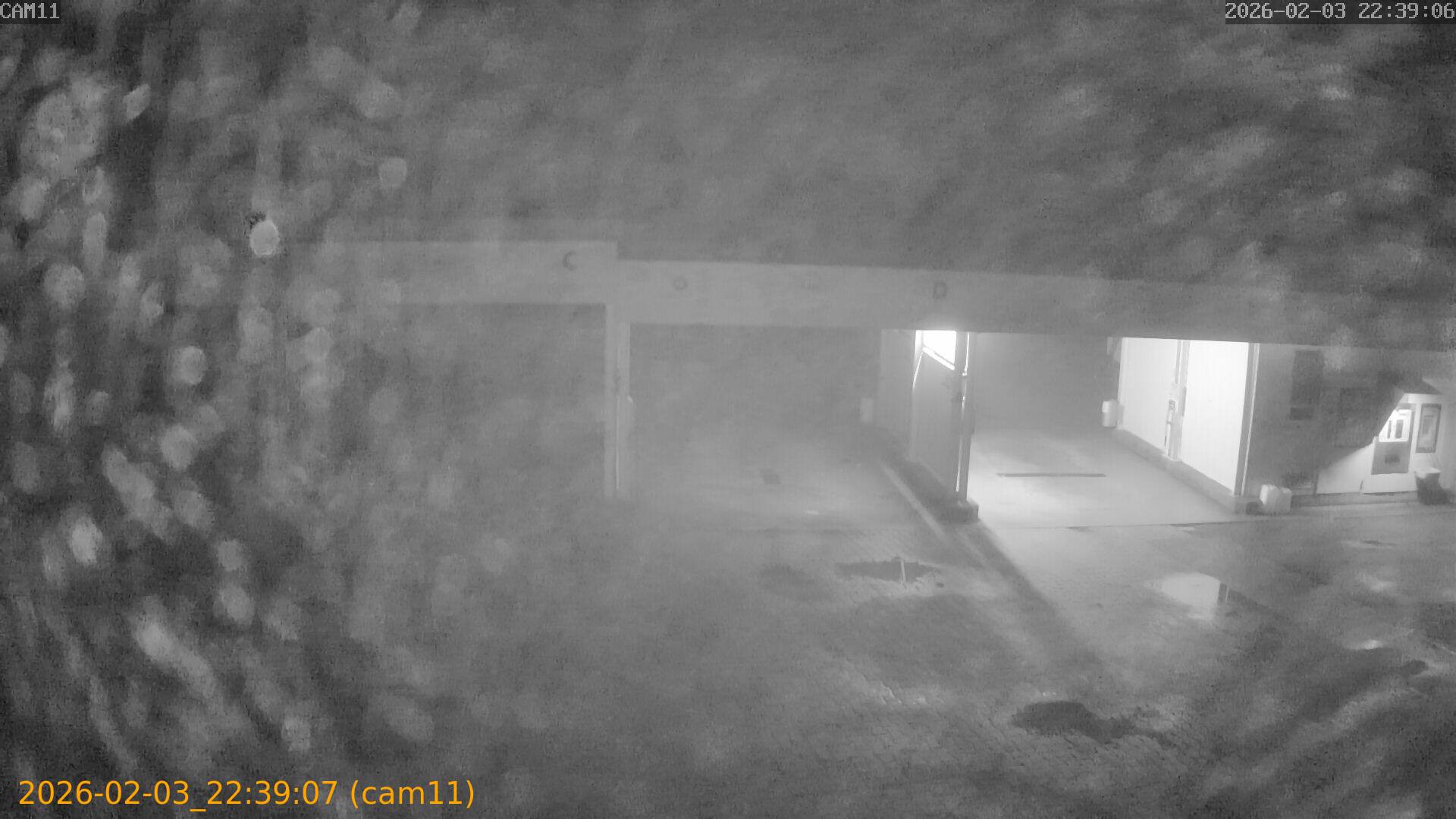 thumbnail_20260203223907