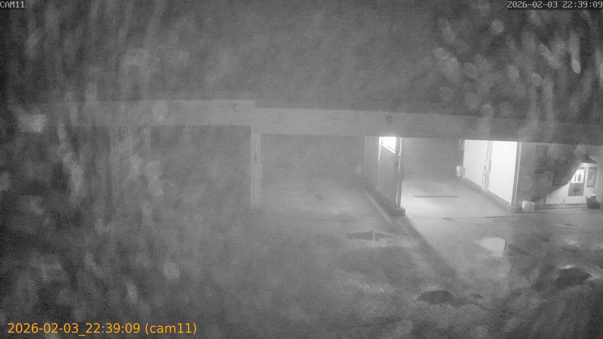 thumbnail_20260203223909