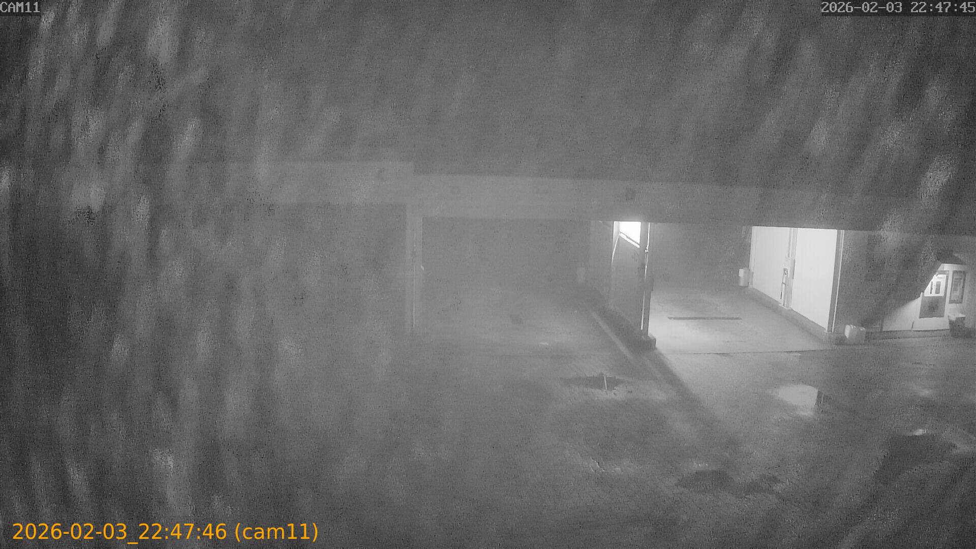 thumbnail_20260203224746