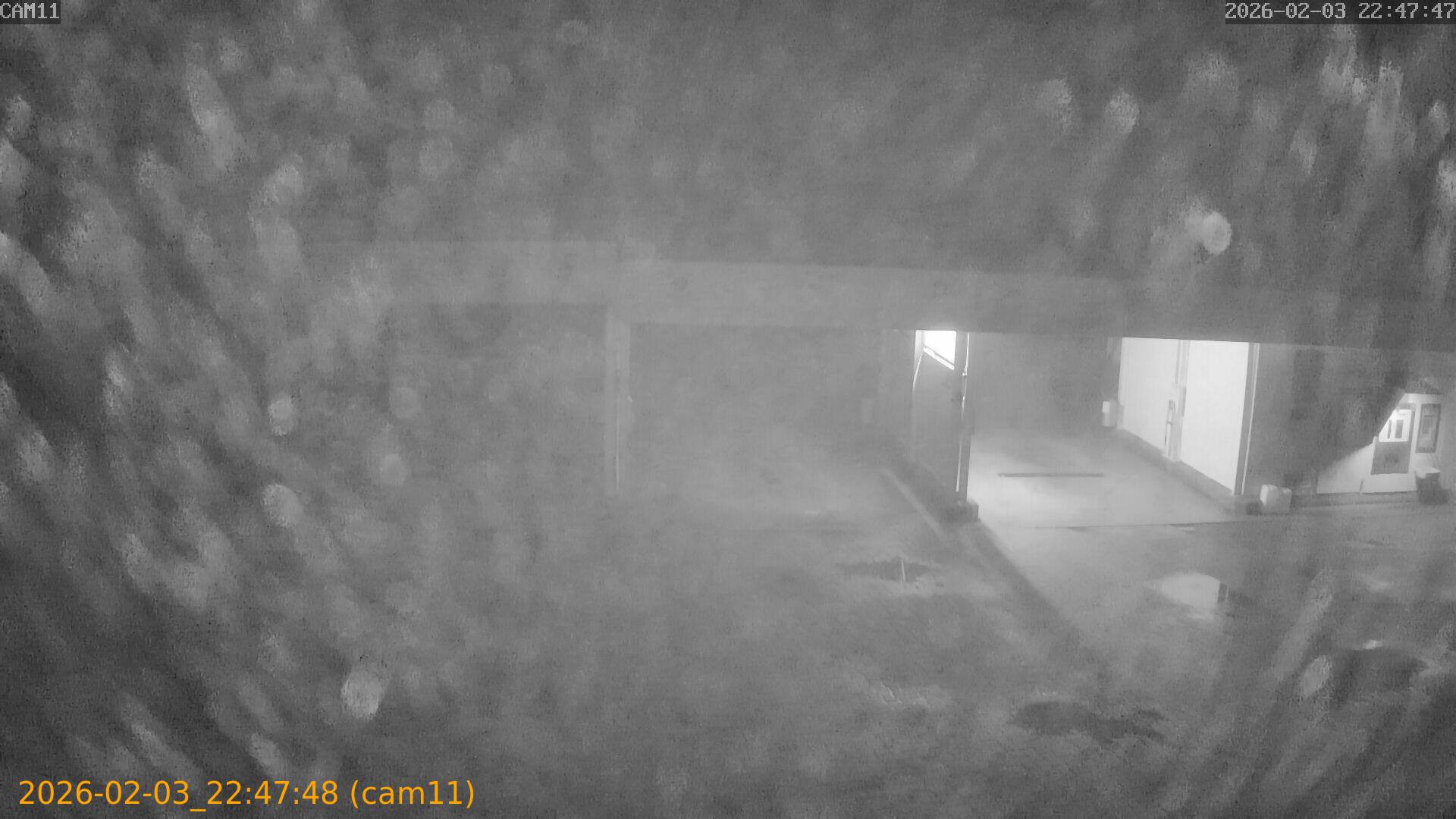 thumbnail_20260203224748