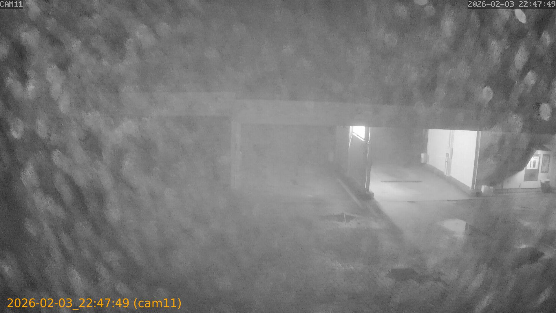 thumbnail_20260203224749