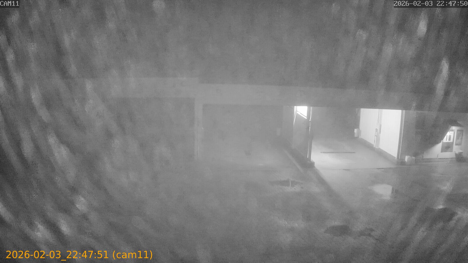 thumbnail_20260203224751