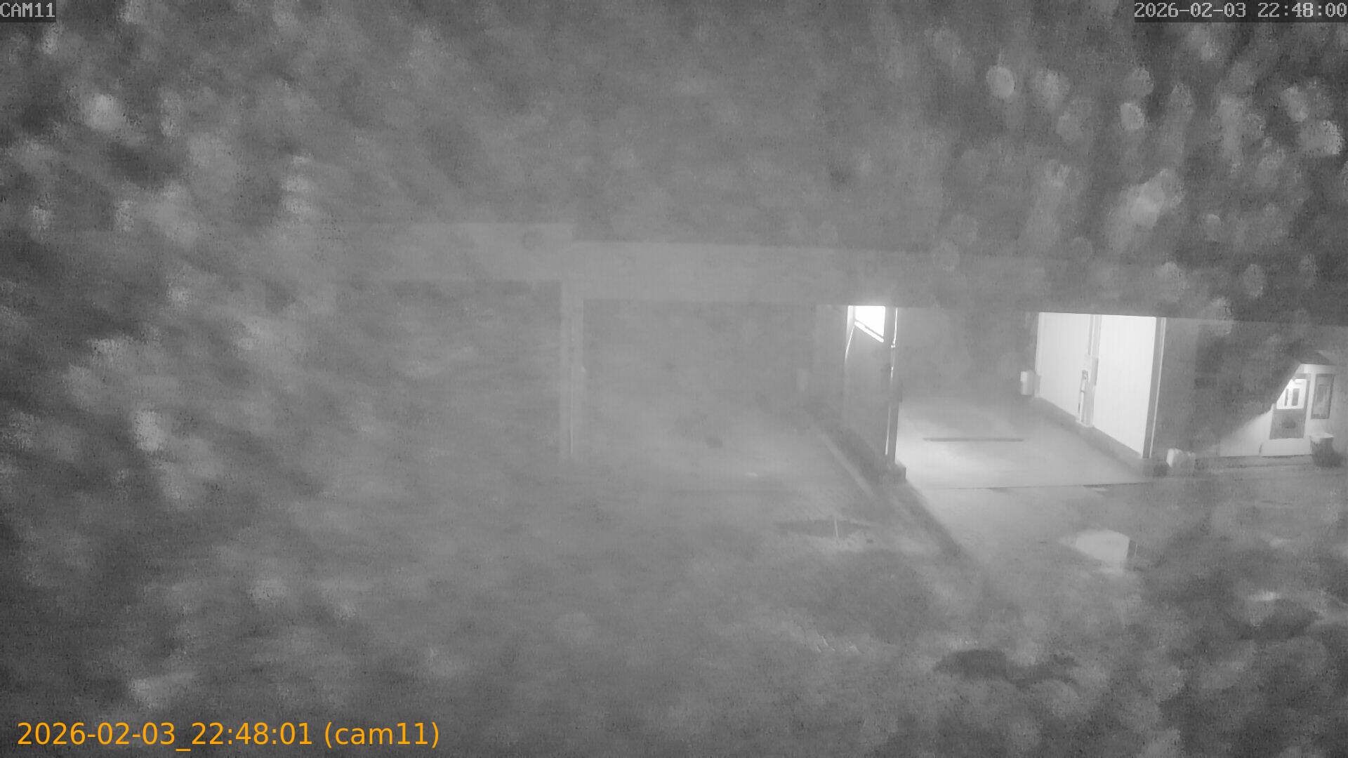 thumbnail_20260203224801