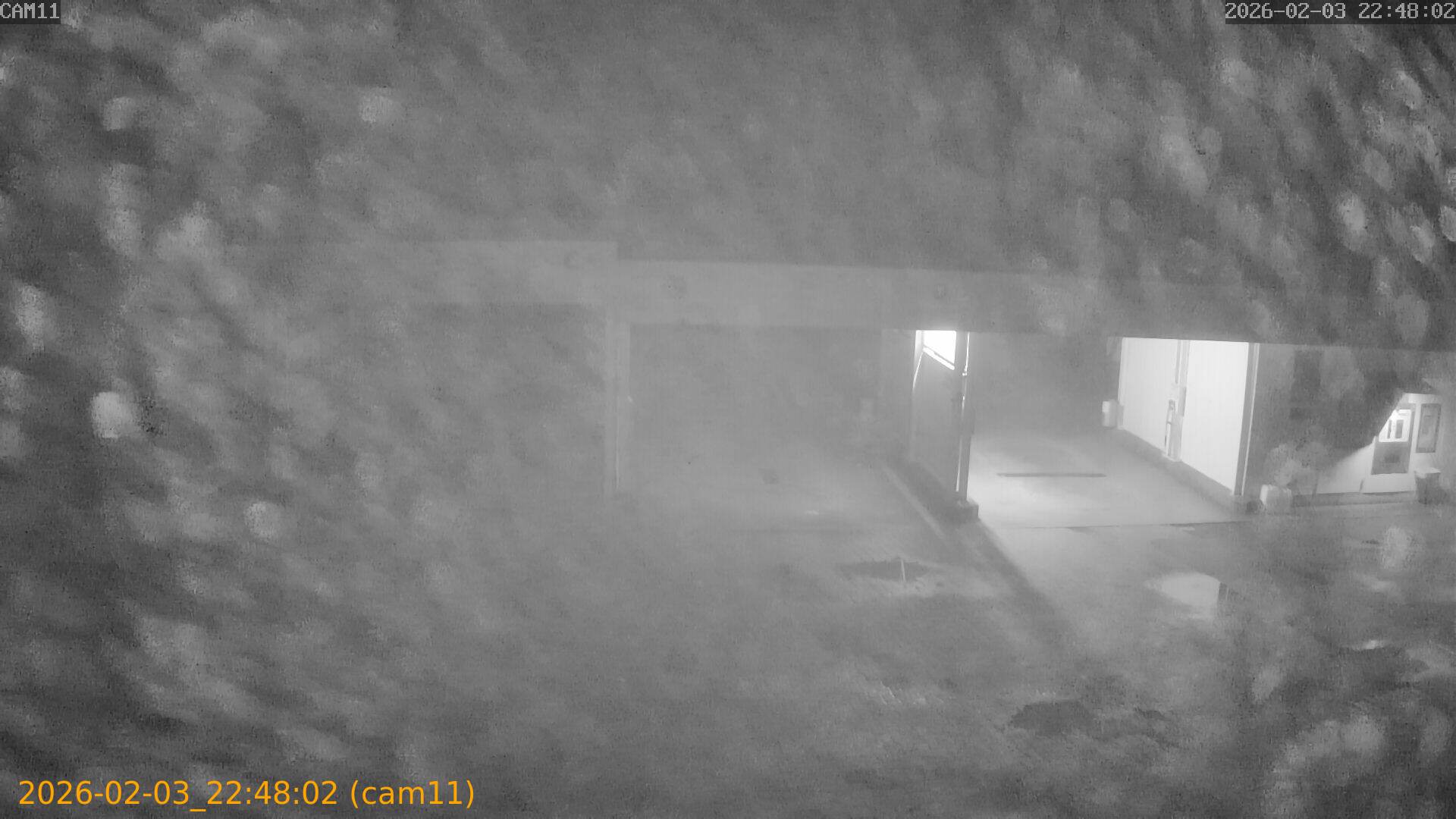 thumbnail_20260203224802