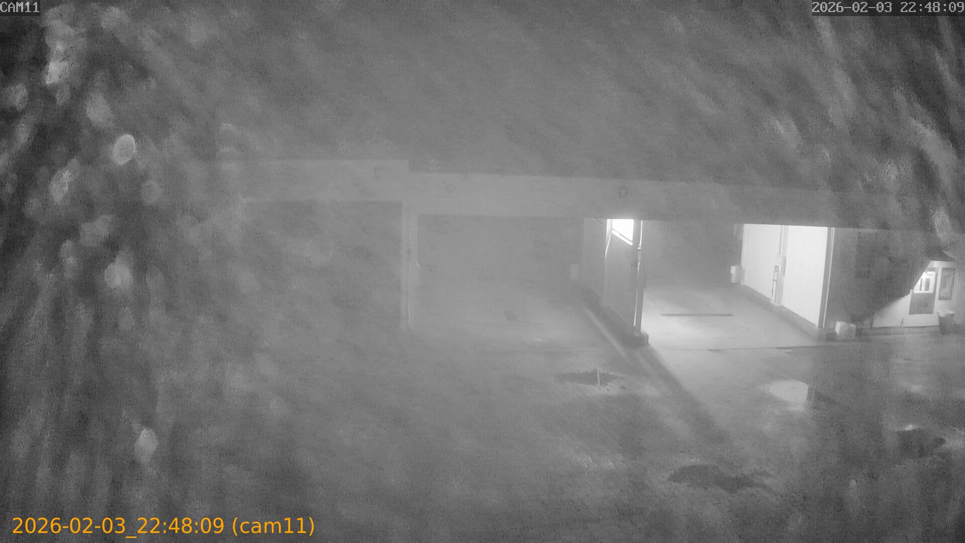 thumbnail_20260203224809