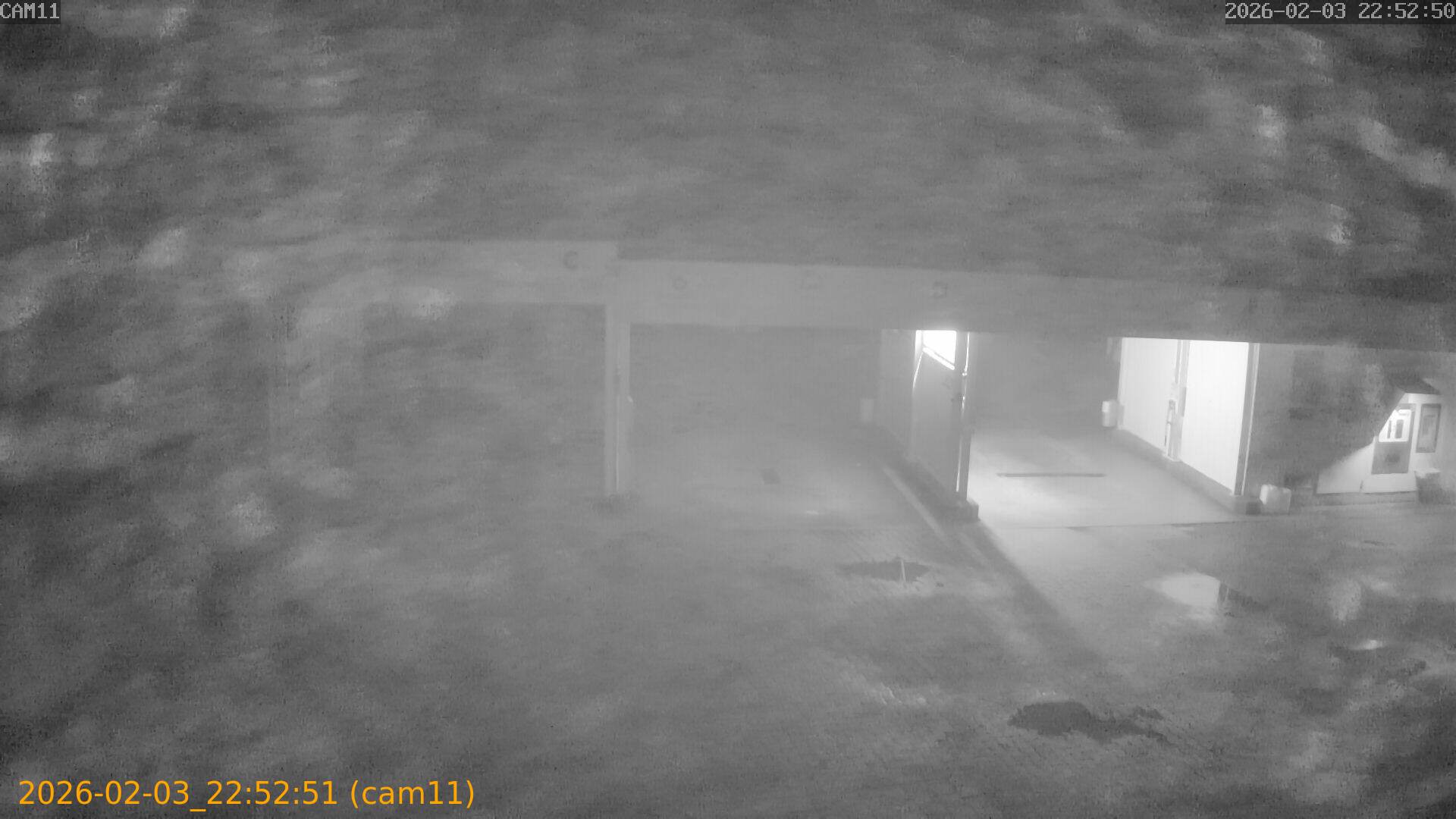 thumbnail_20260203225251