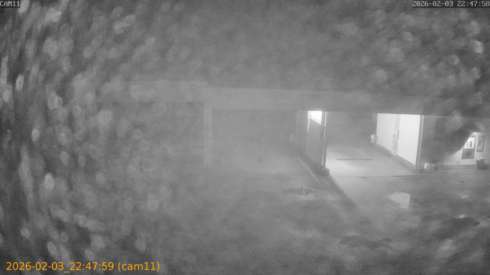 thumbnail_202602032247