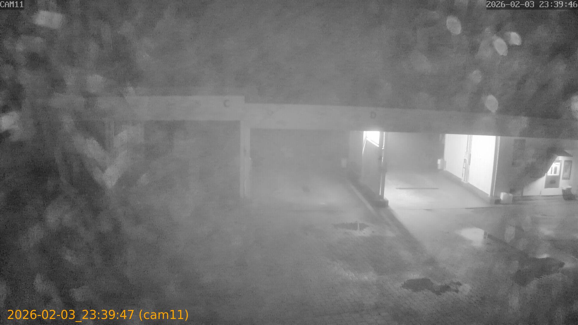 thumbnail_20260203233947