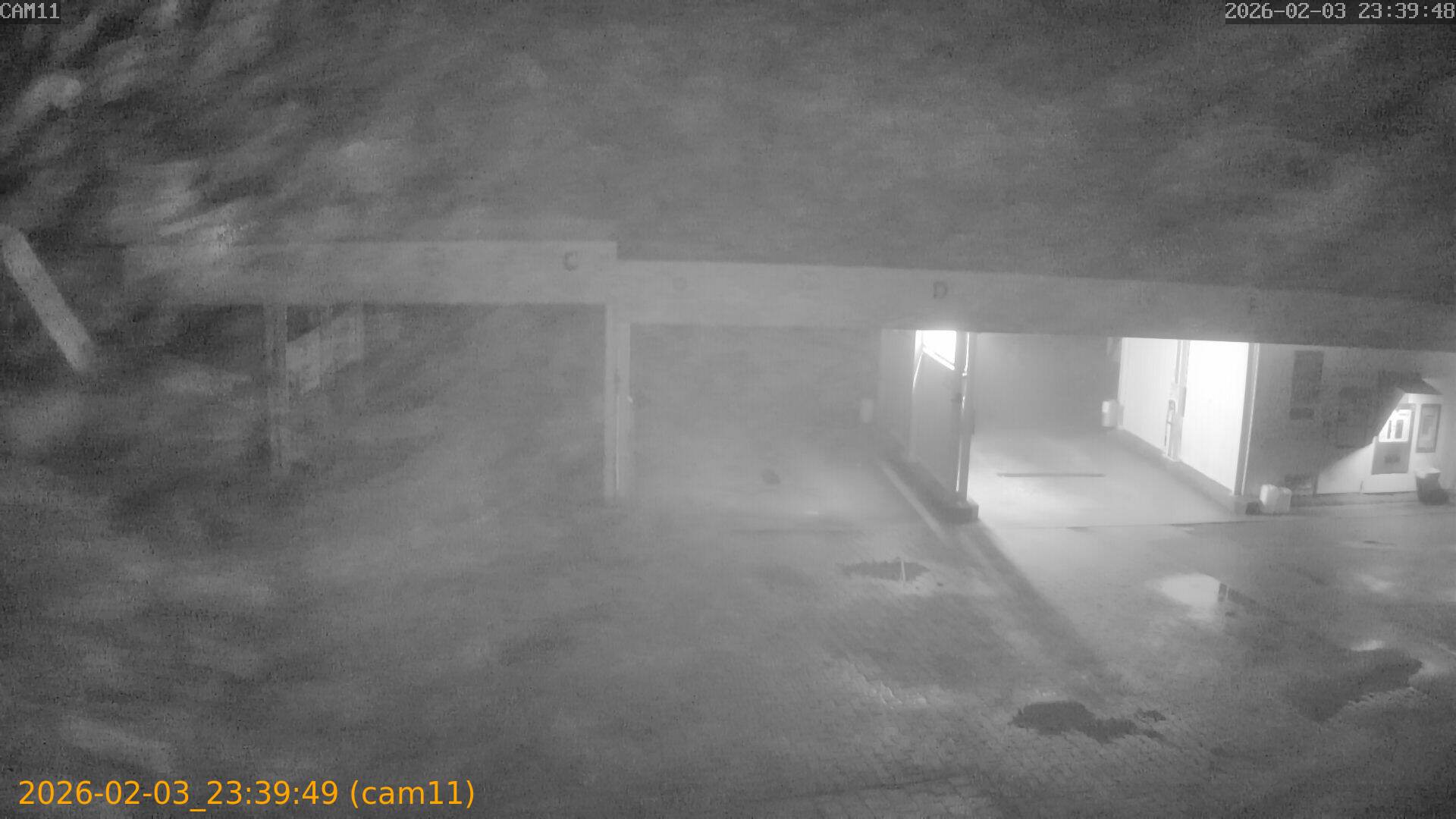 thumbnail_20260203233949