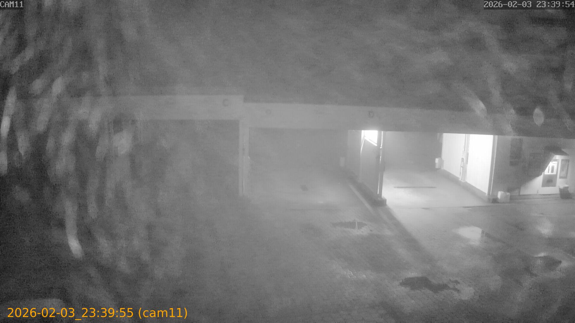 thumbnail_20260203233955