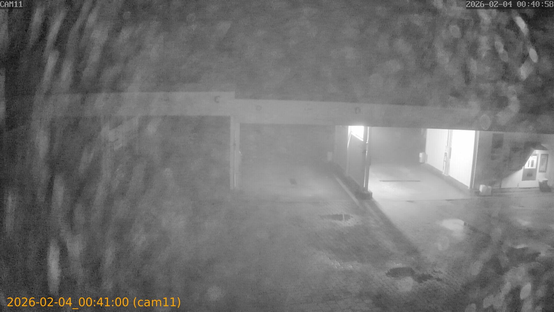 thumbnail_20260204004100