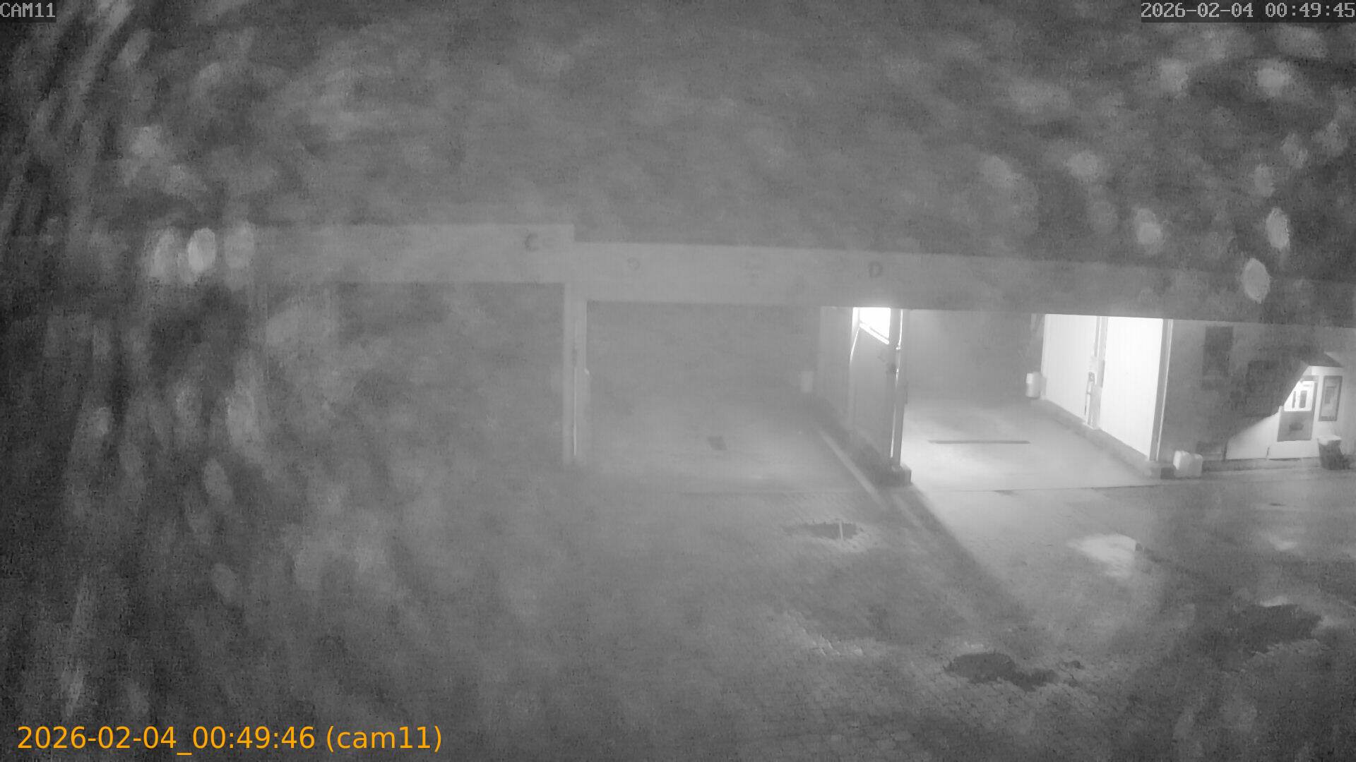 thumbnail_20260204004946