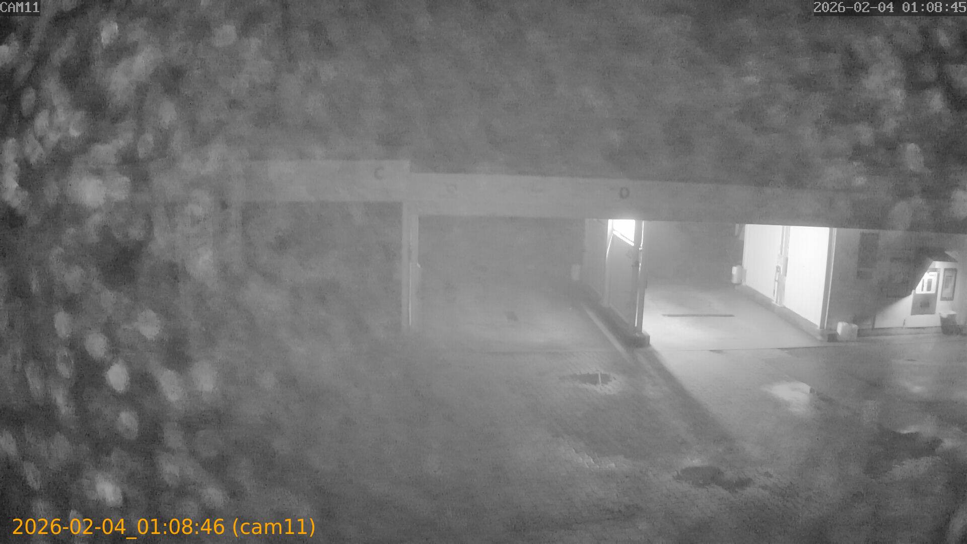 thumbnail_20260204010846