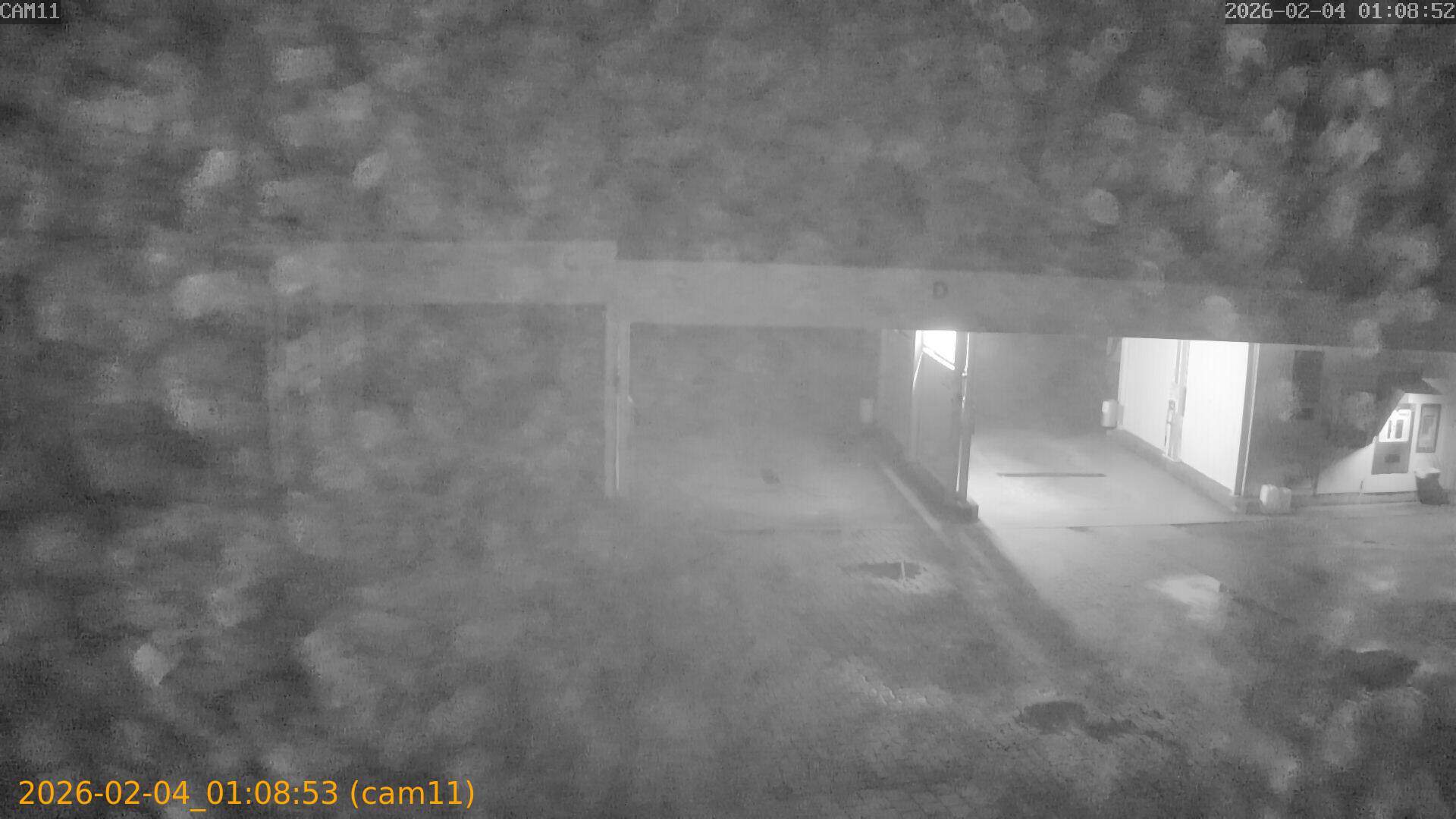 thumbnail_20260204010853