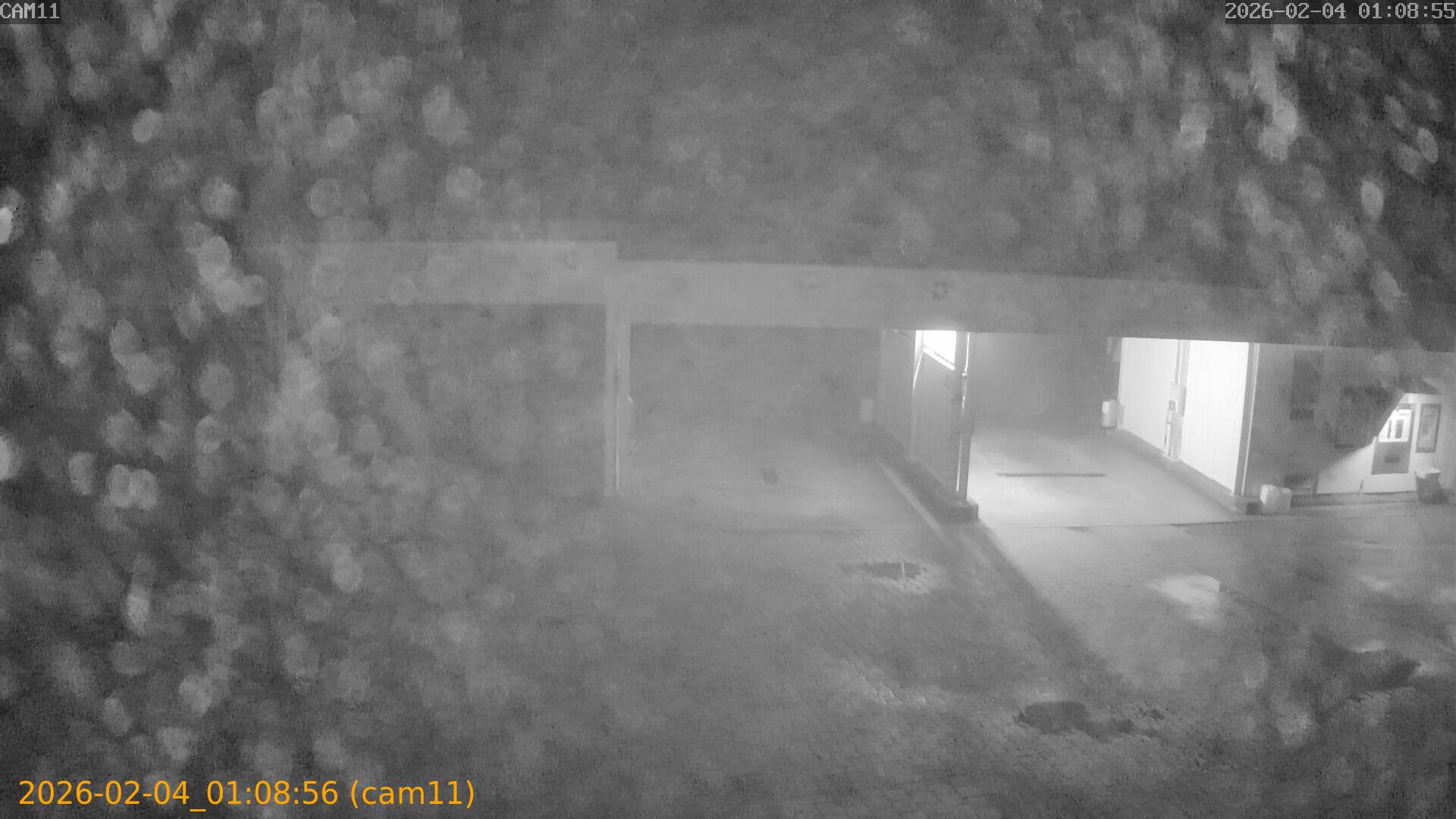 thumbnail_20260204010856