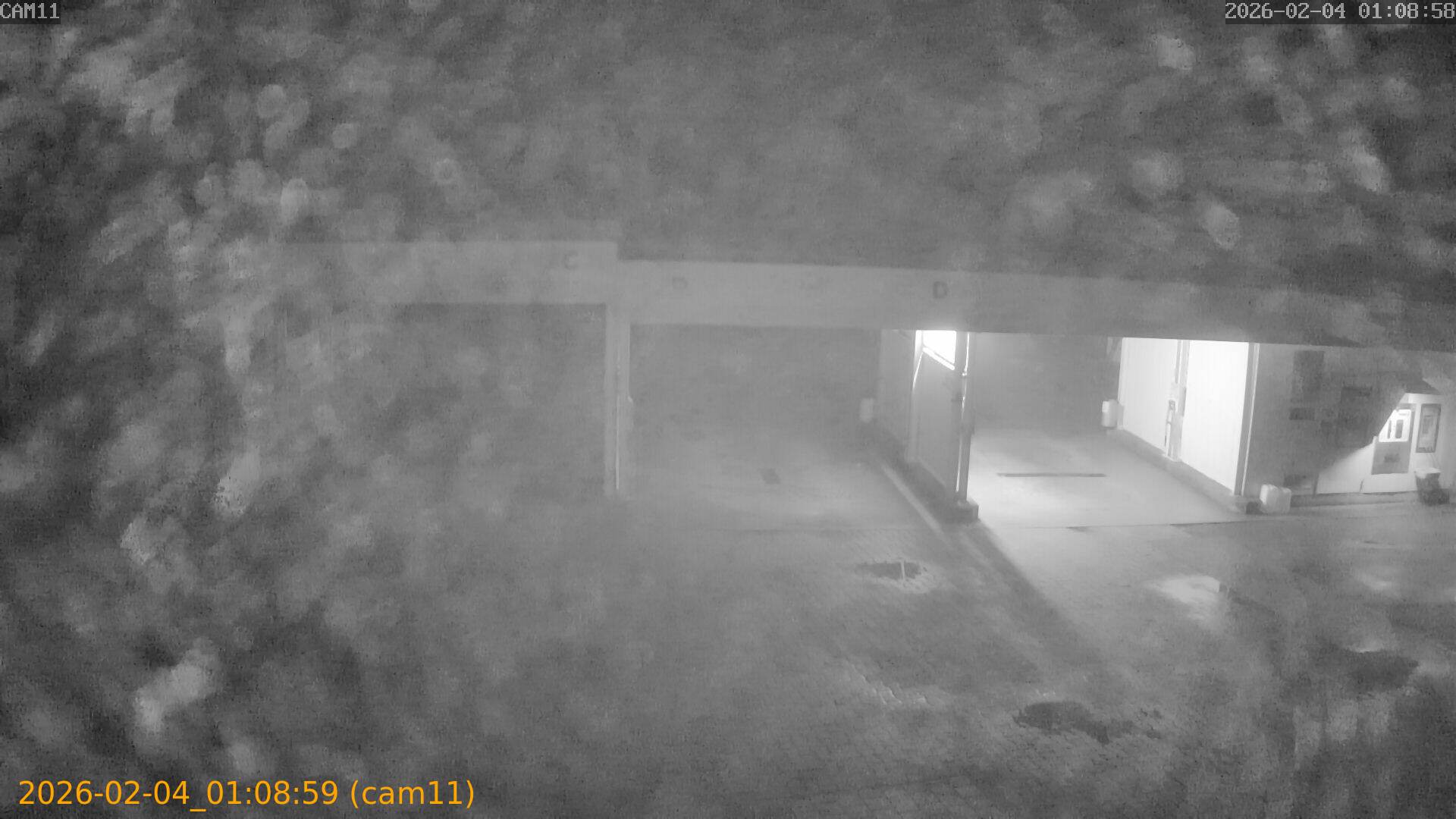 thumbnail_20260204010859