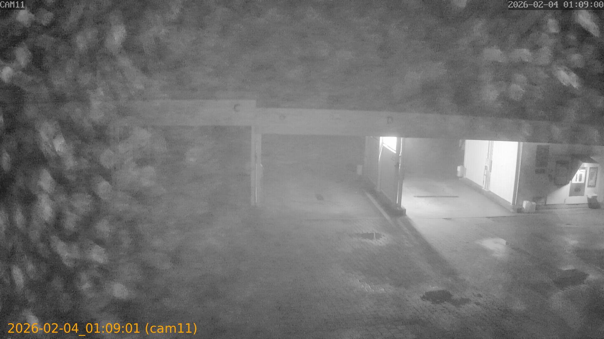 thumbnail_20260204010901