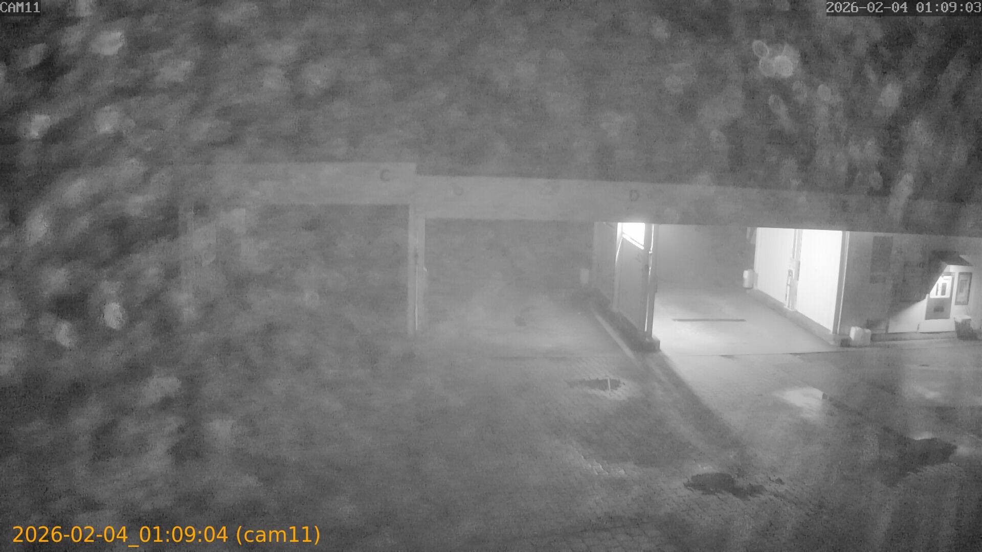 thumbnail_20260204010904