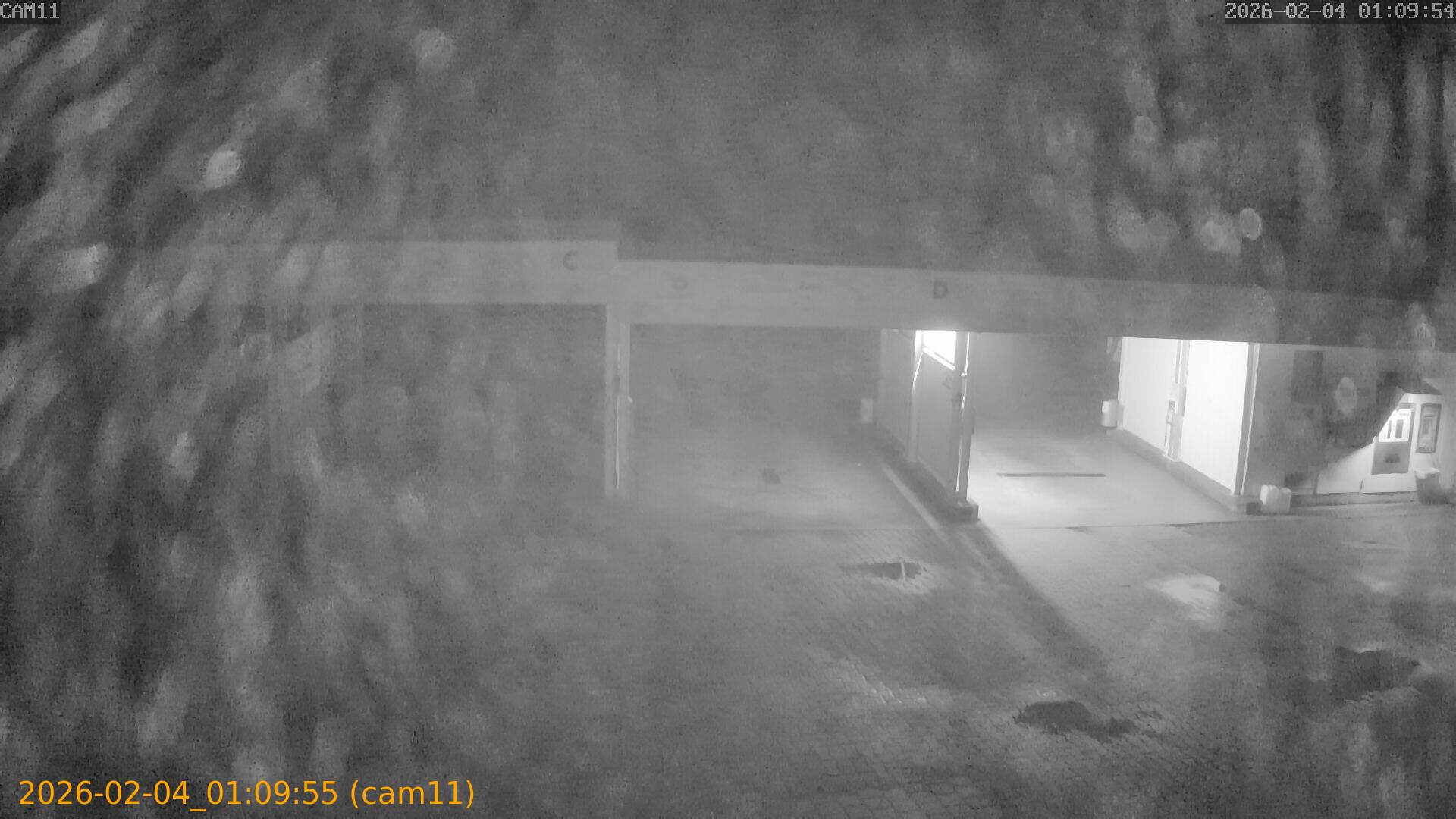 thumbnail_20260204010955