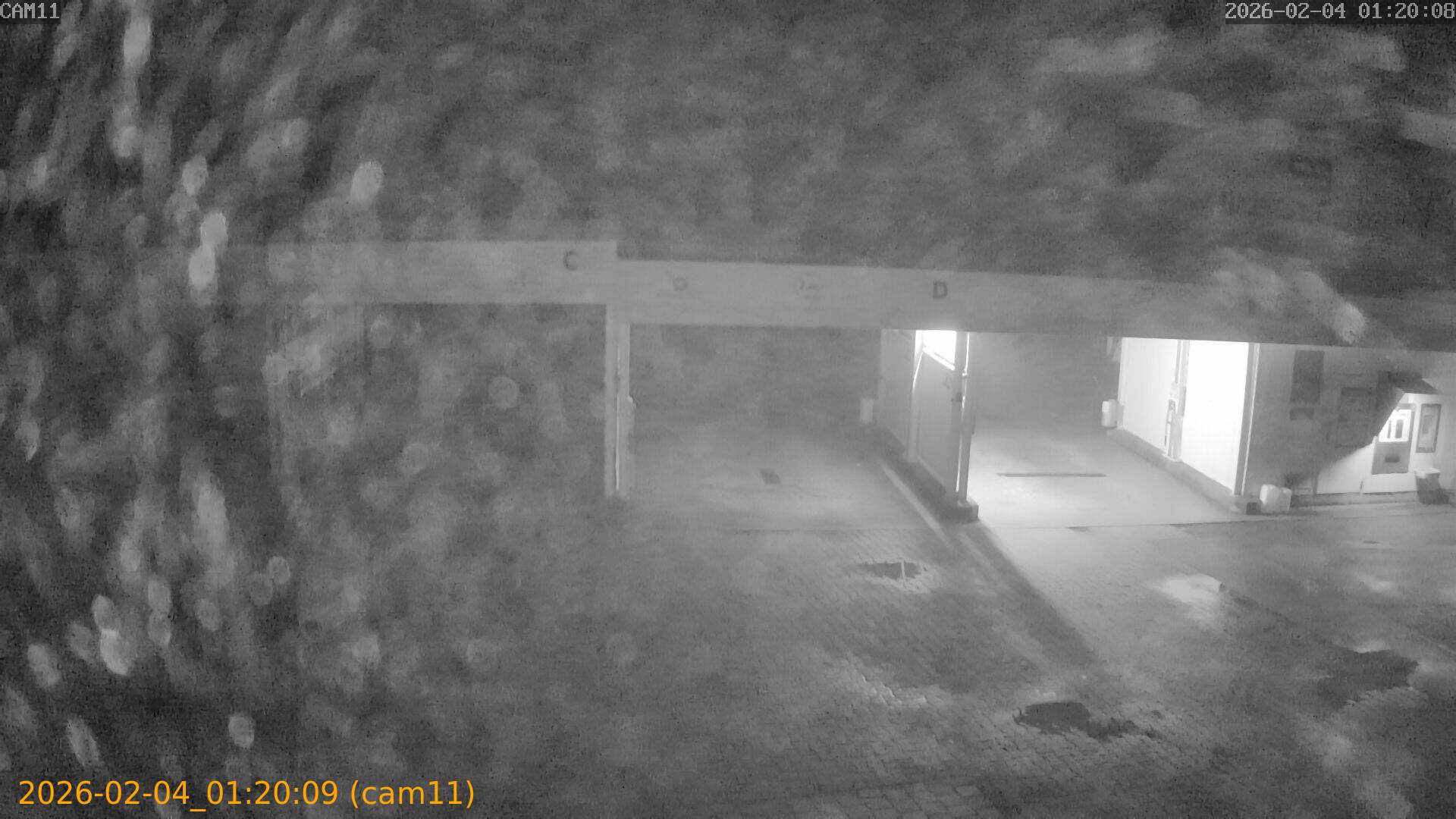 thumbnail_20260204012009