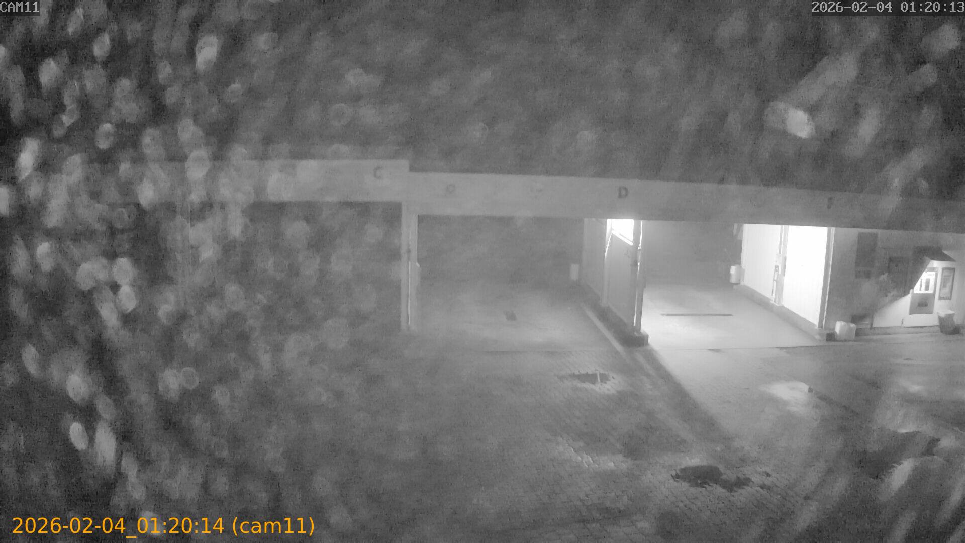 thumbnail_20260204012014