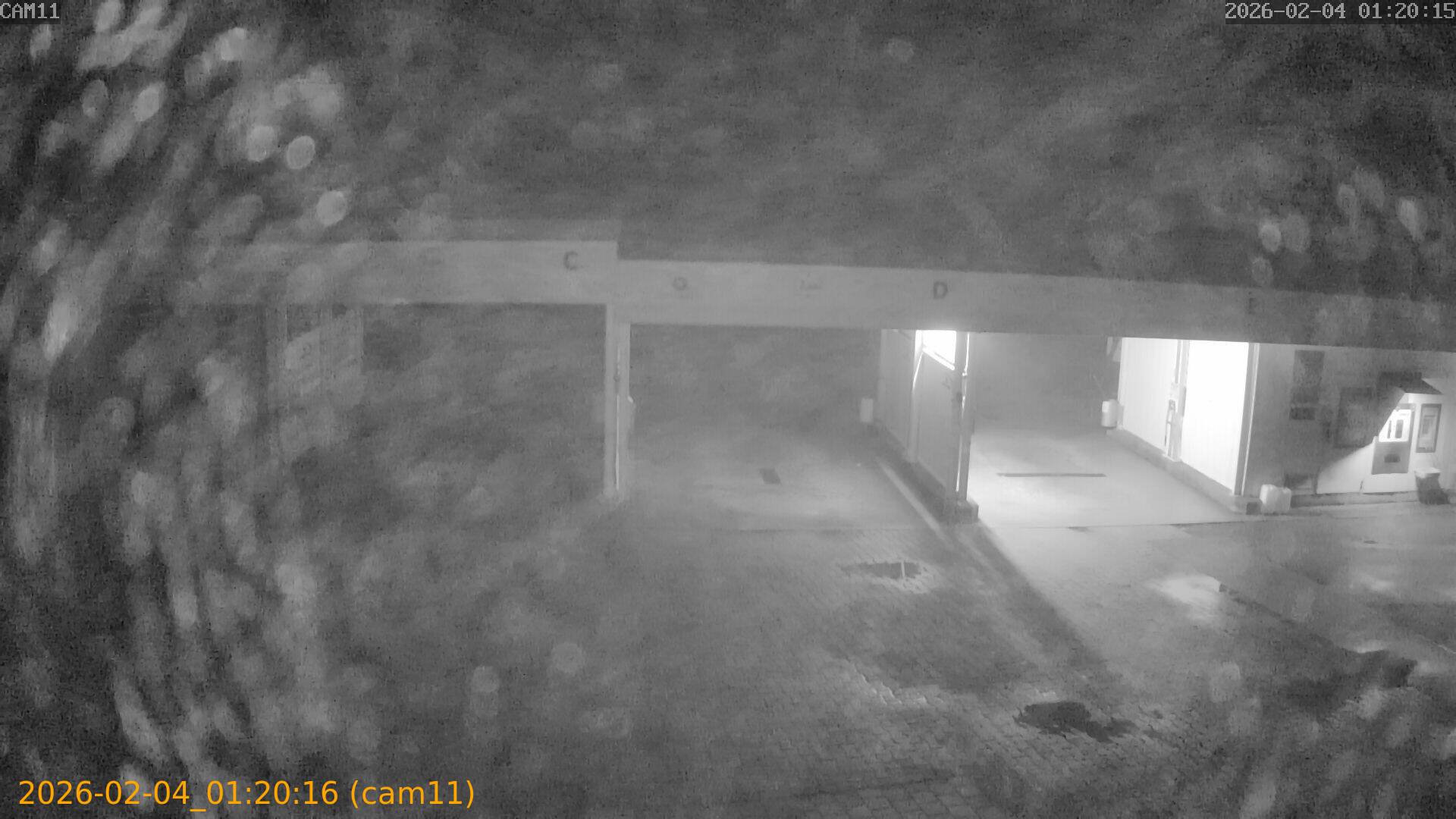 thumbnail_20260204012016