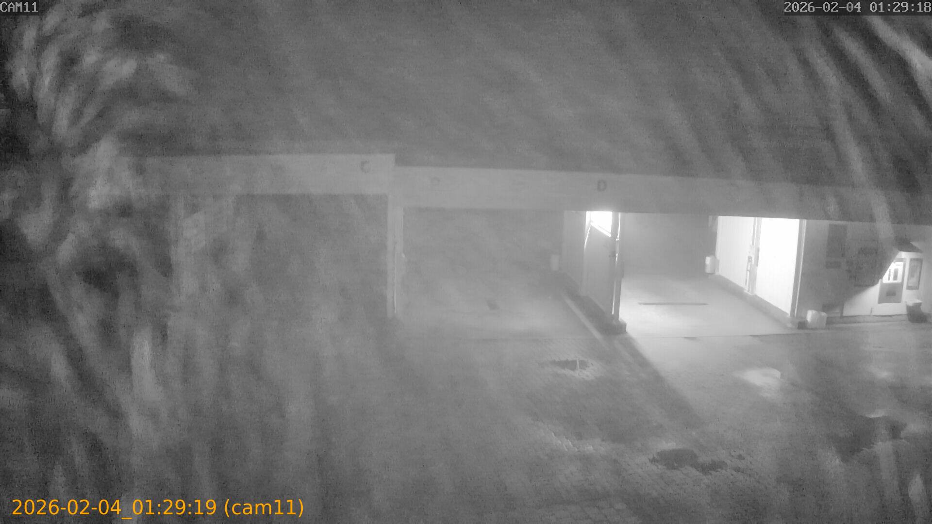 thumbnail_20260204012919