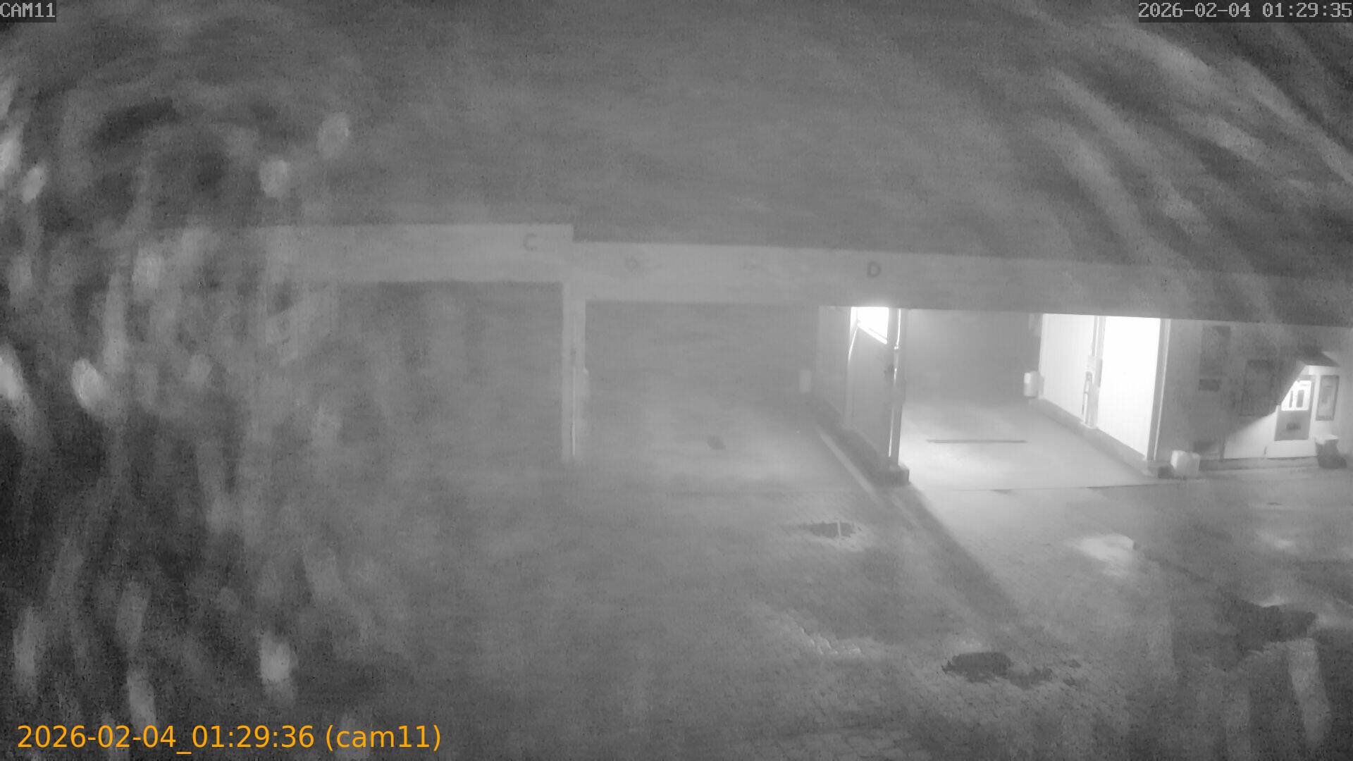 thumbnail_20260204012936