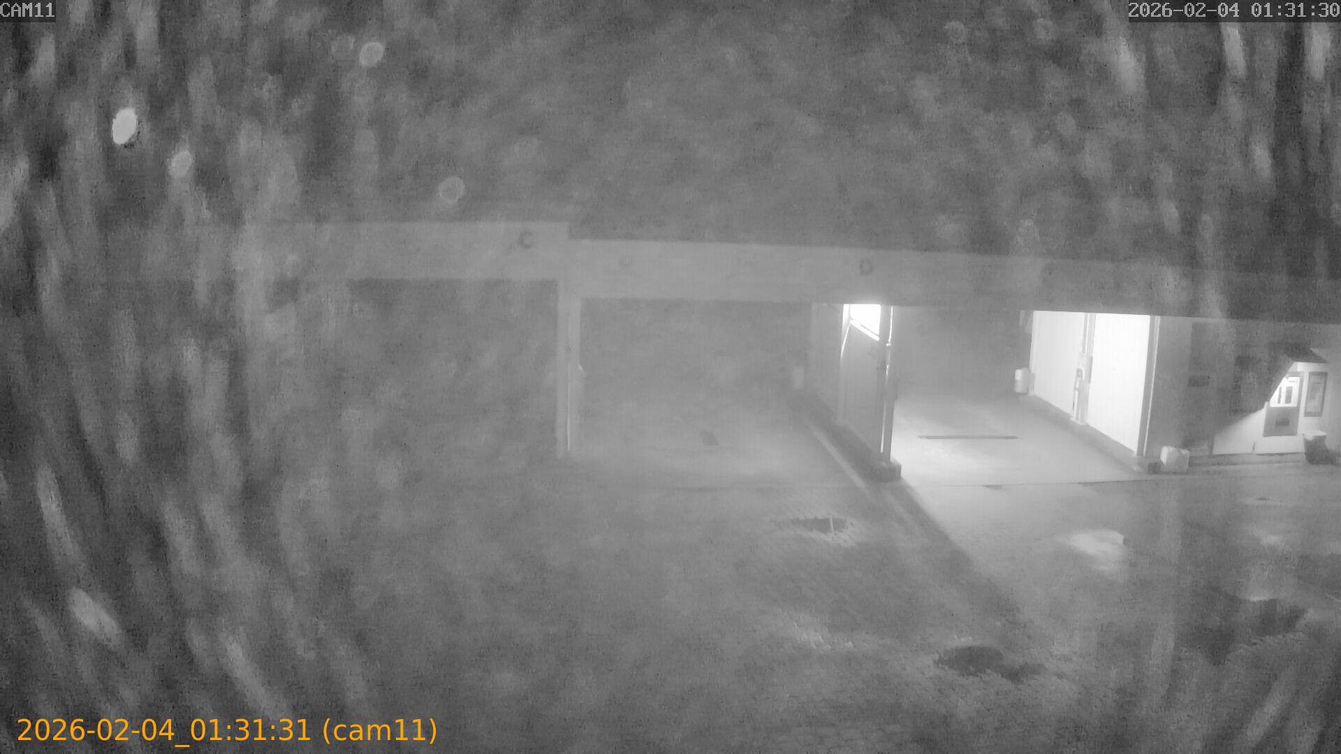 thumbnail_20260204013131