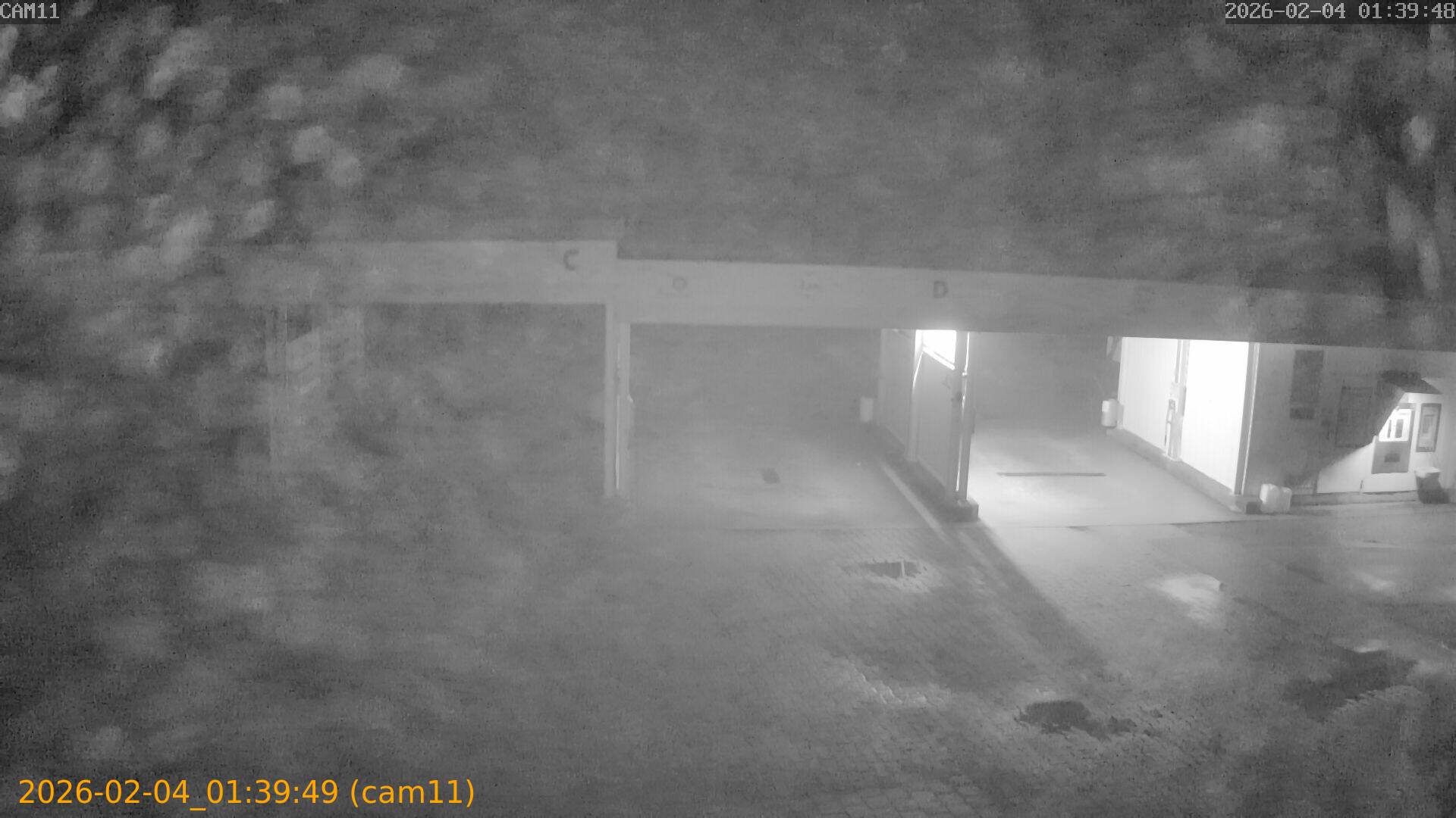 thumbnail_20260204013949