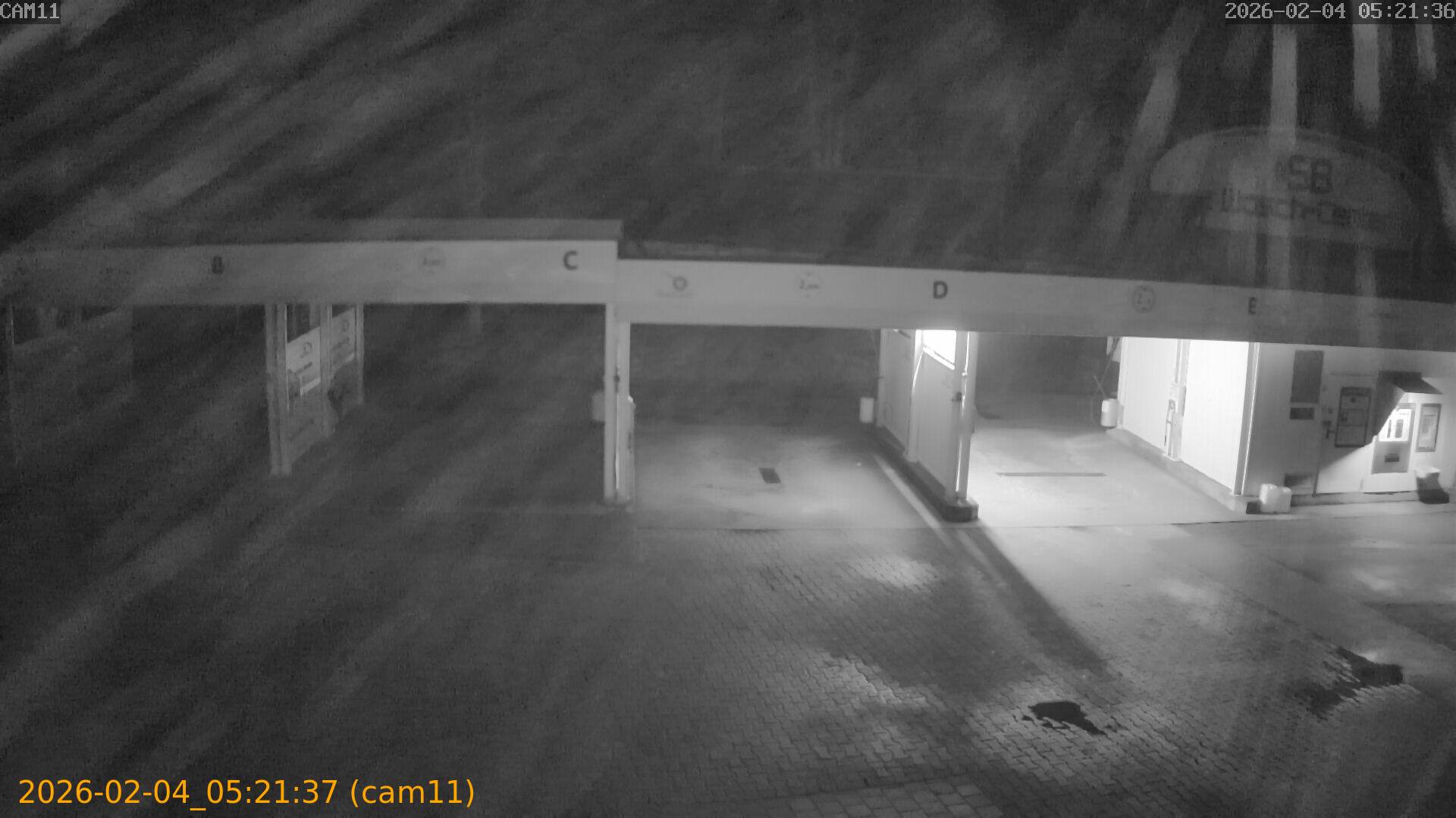 thumbnail_20260204052137