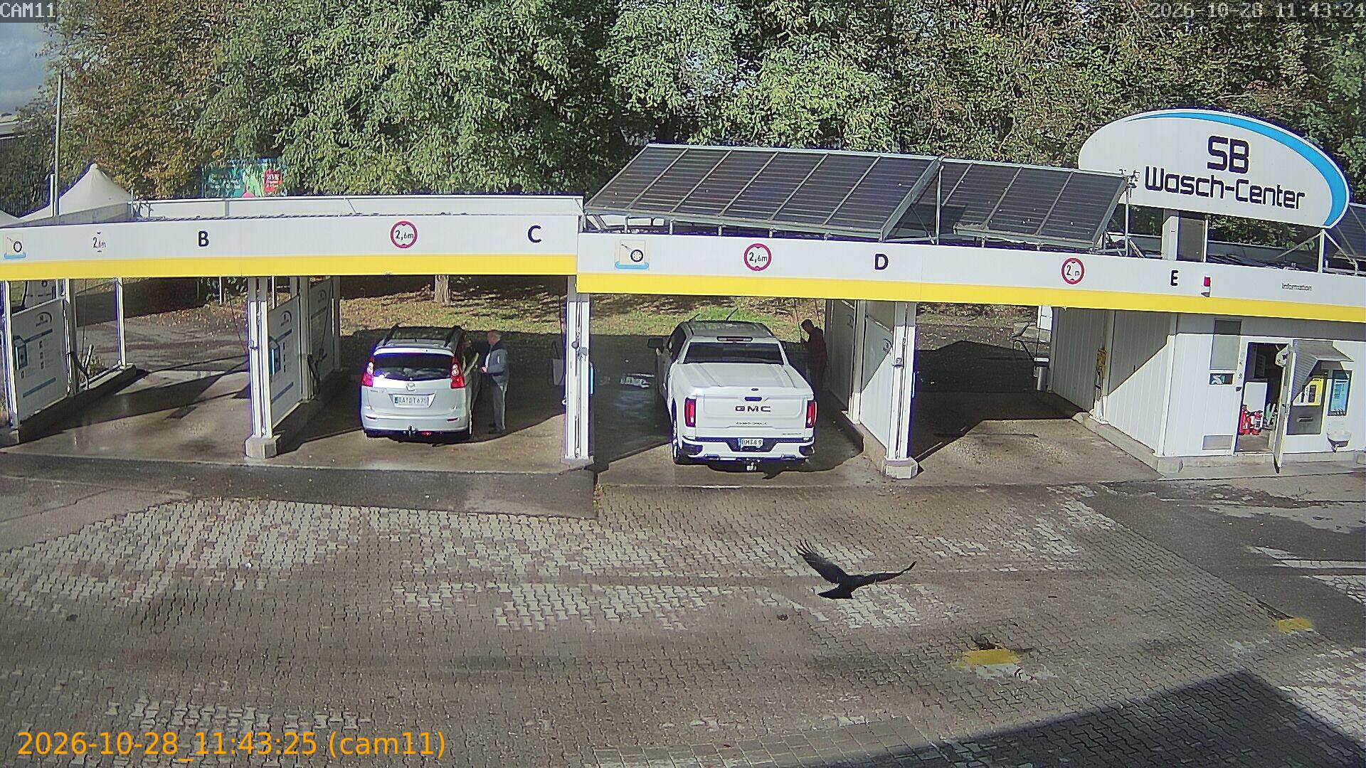 20261028114325