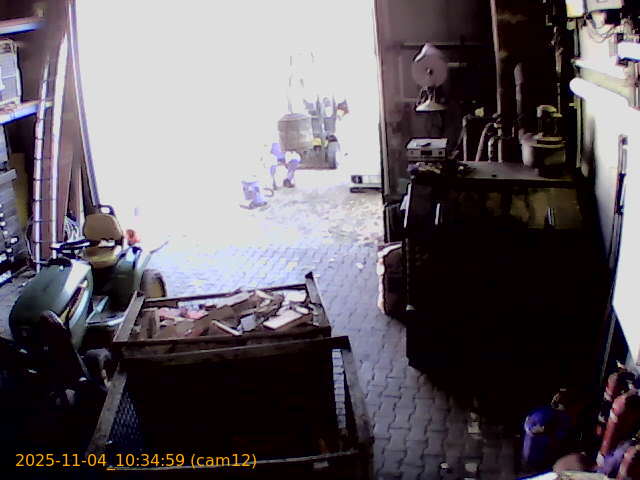 thumbnail_202511041034