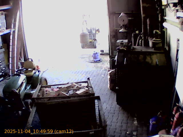 thumbnail_202511041049