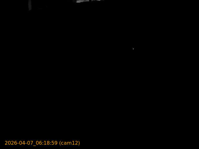 thumbnail_20260407061859