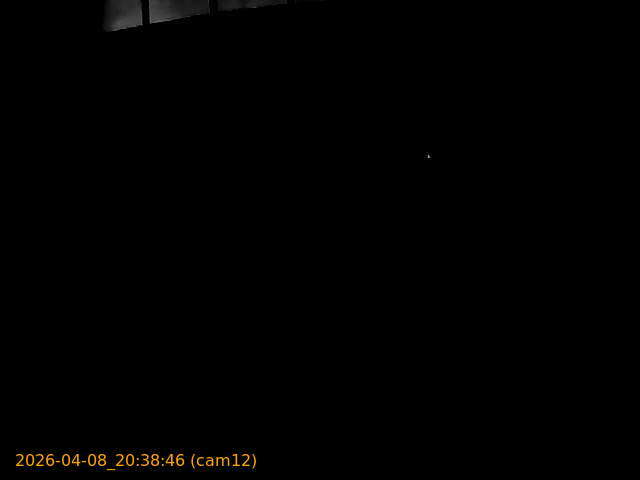 thumbnail_20260408203846