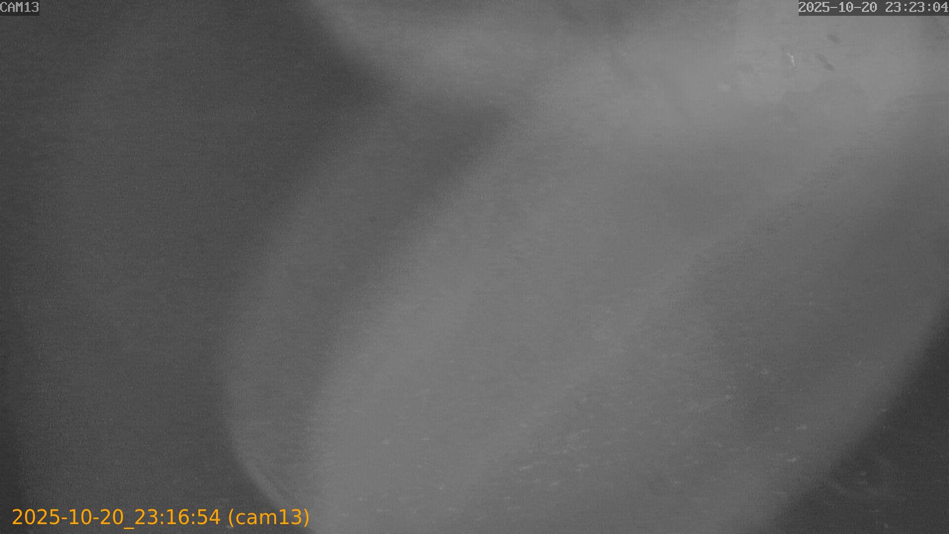 20251020231654