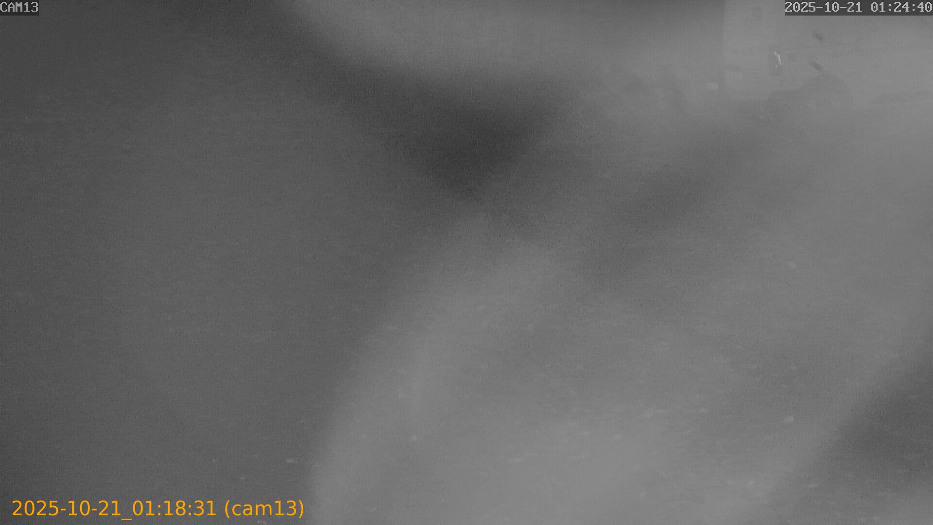 20251021011830