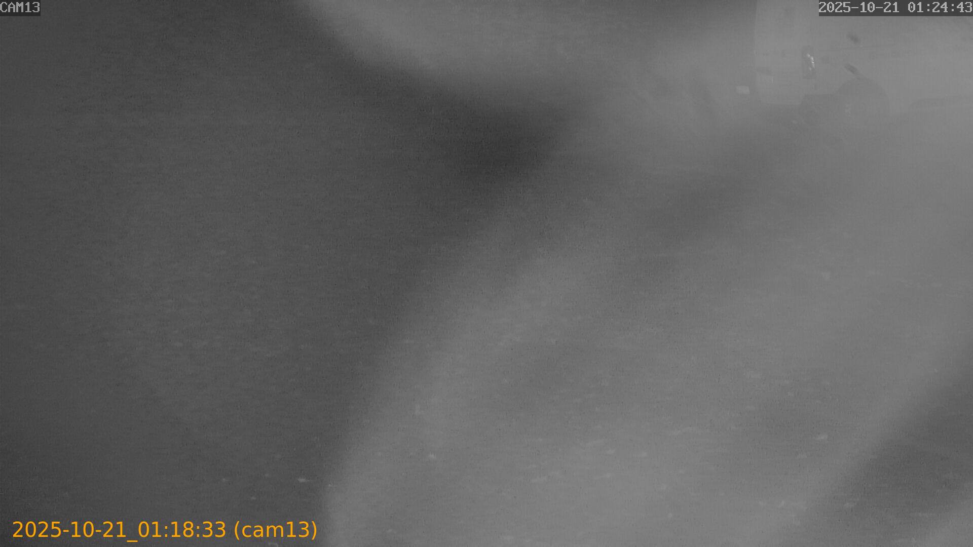 20251021011832