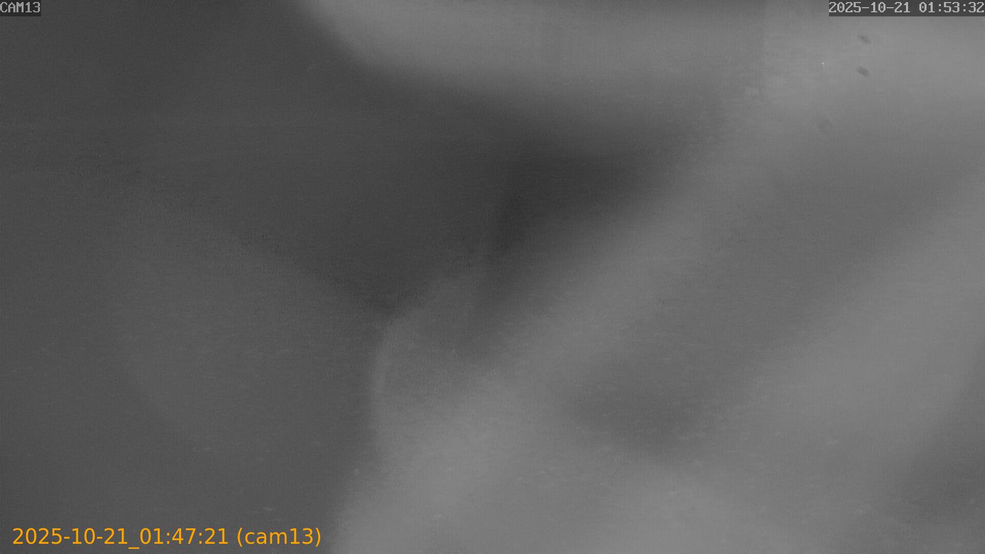 20251021014721