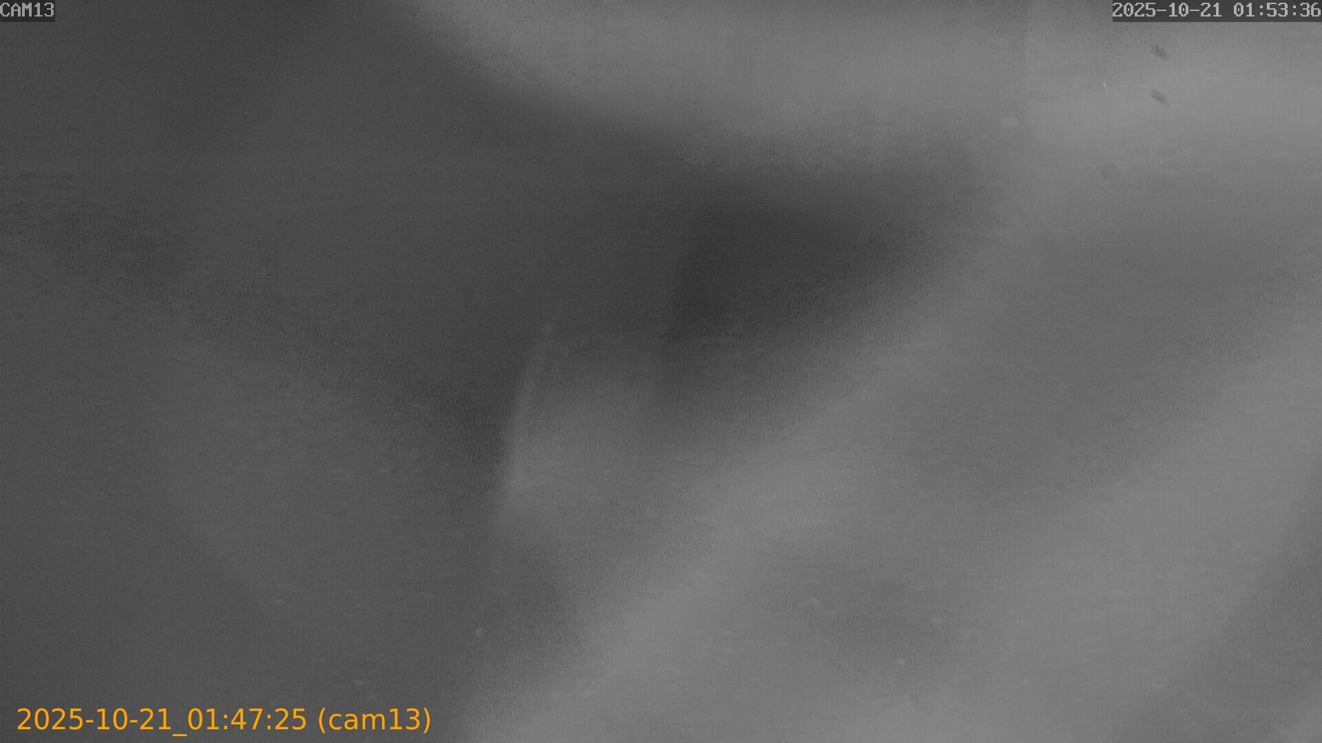 20251021014725