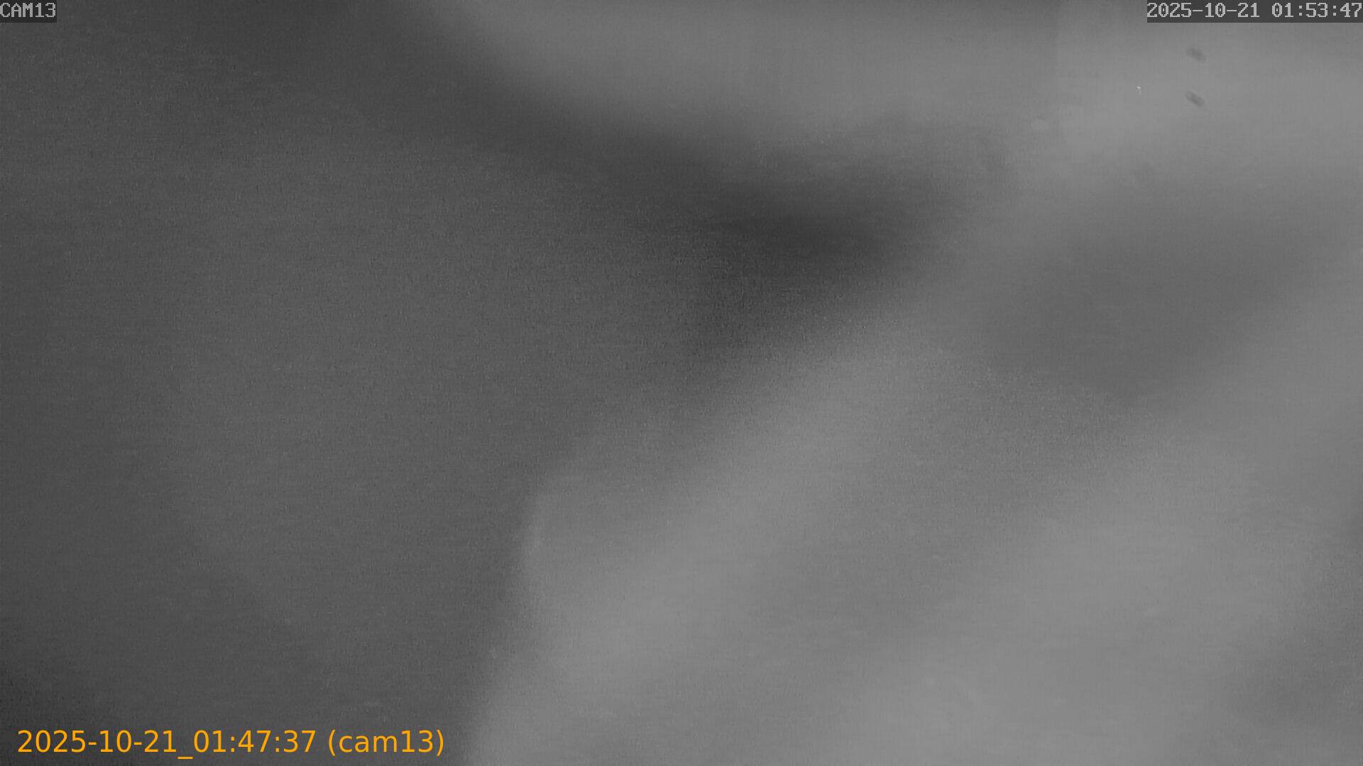 20251021014737